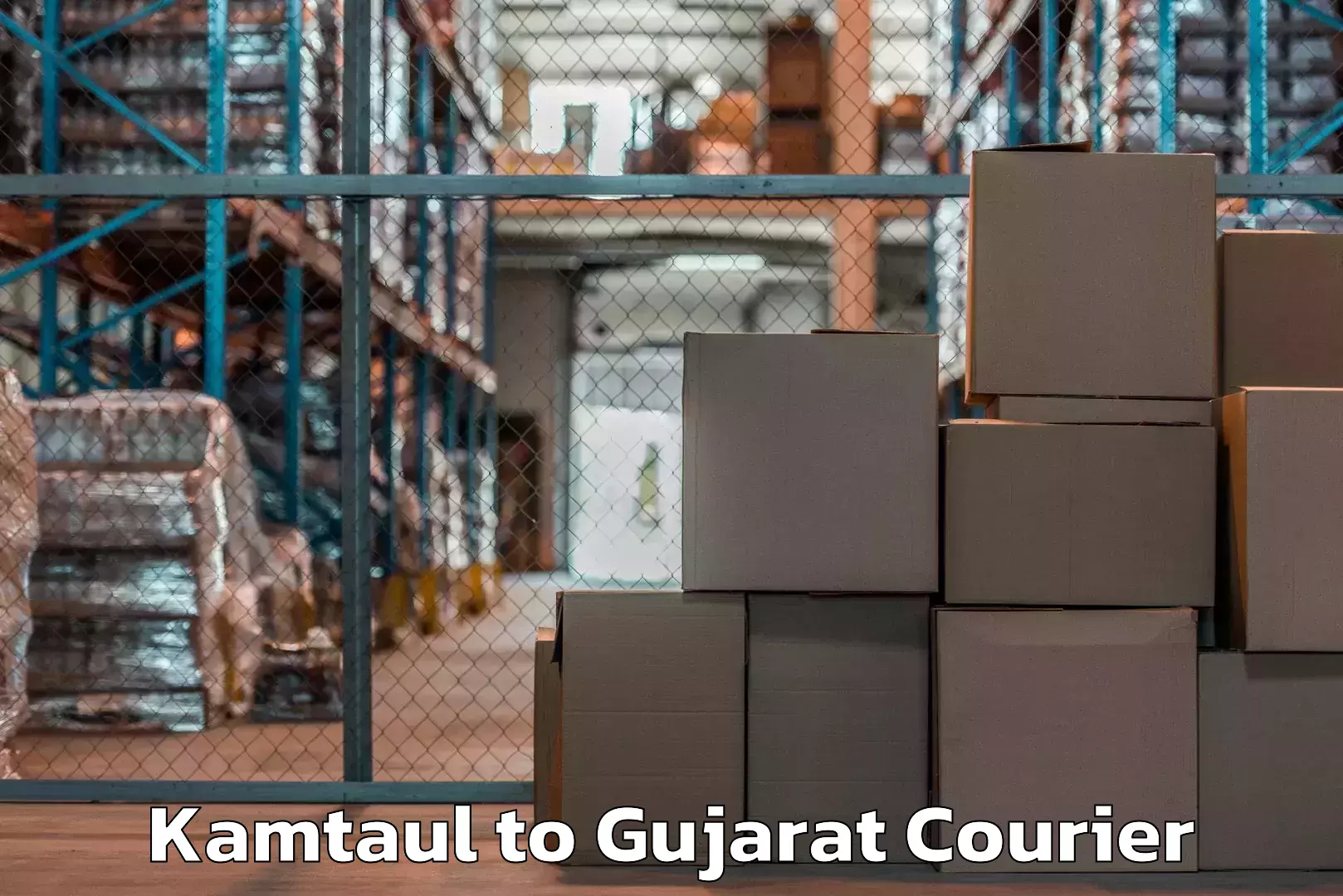 Flexible parcel services Kamtaul to Vadodara