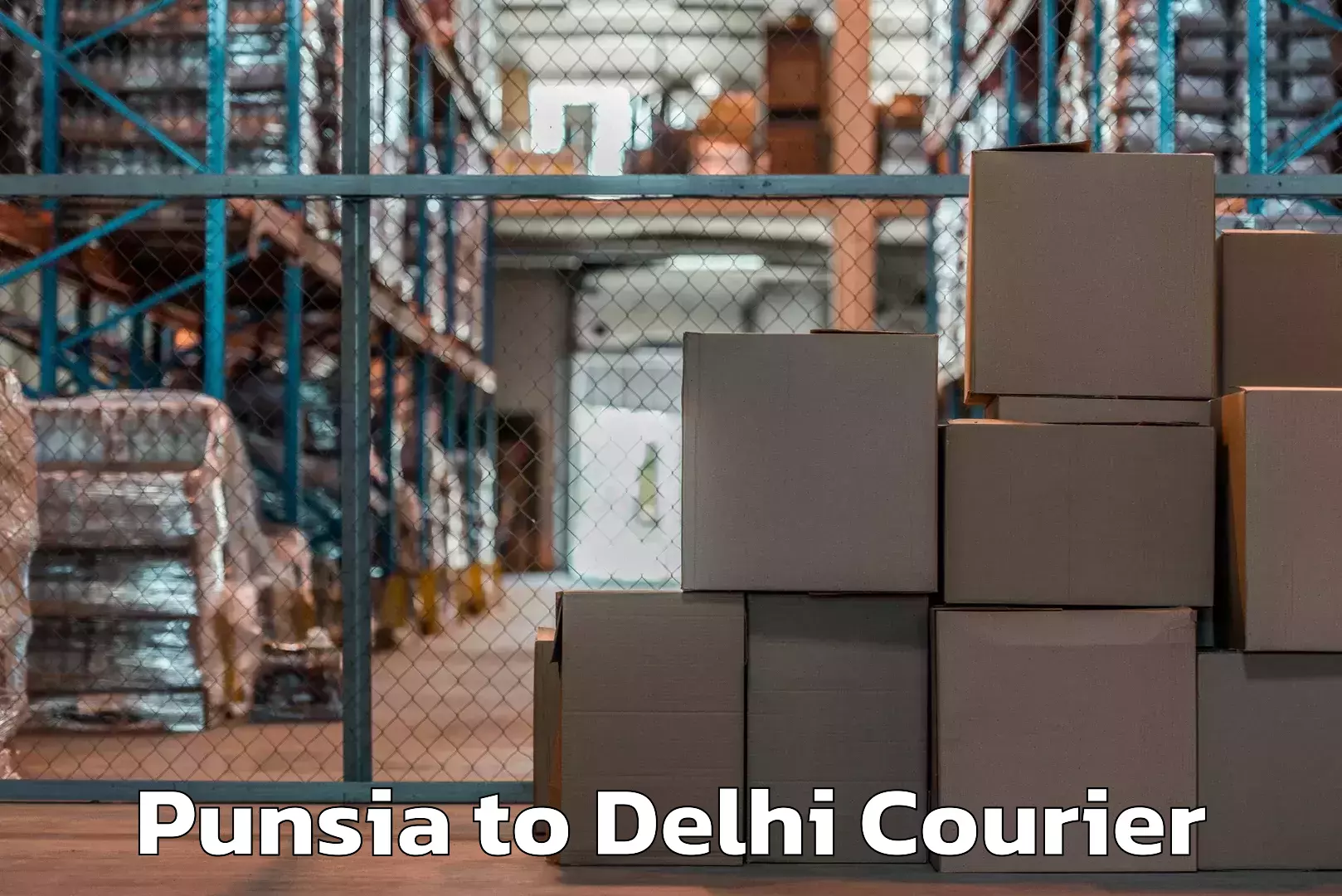 Dynamic parcel delivery Punsia to Ashok Vihar