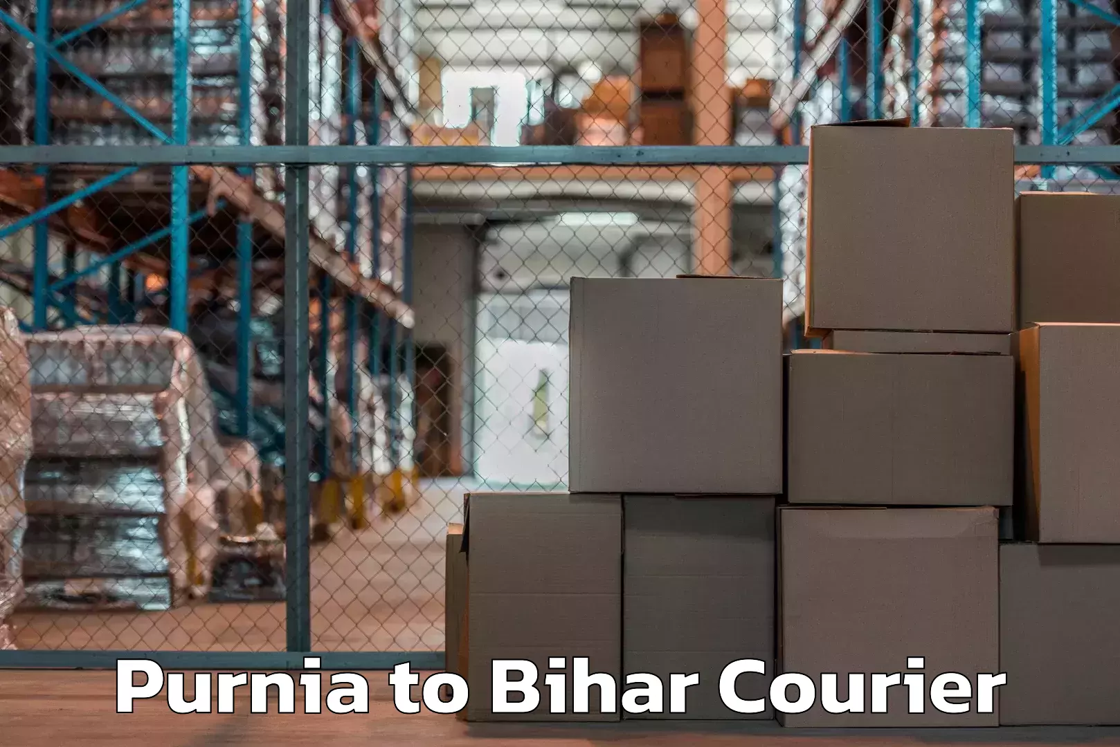 Advanced shipping logistics Purnia to Bihar