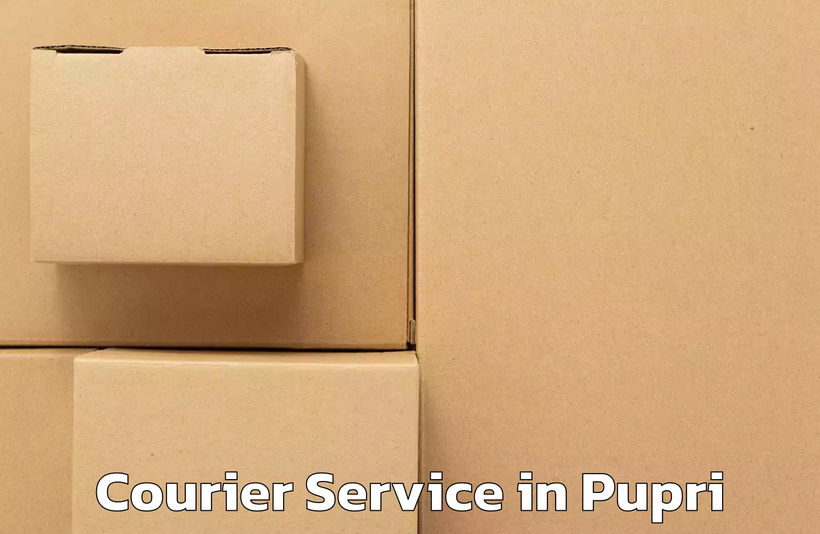 Affordable logistics services in Pupri
