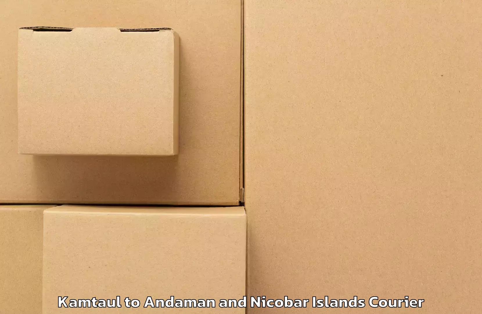 Multi-national courier services Kamtaul to Andaman and Nicobar Islands