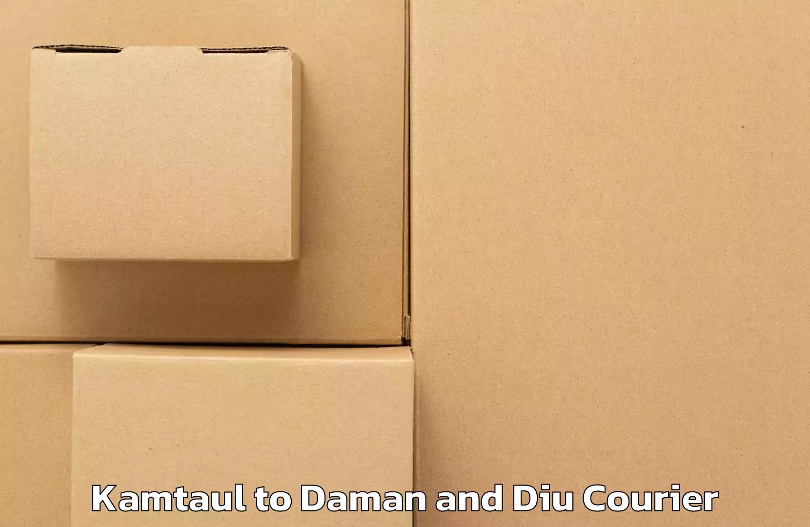 Comprehensive delivery network Kamtaul to Daman