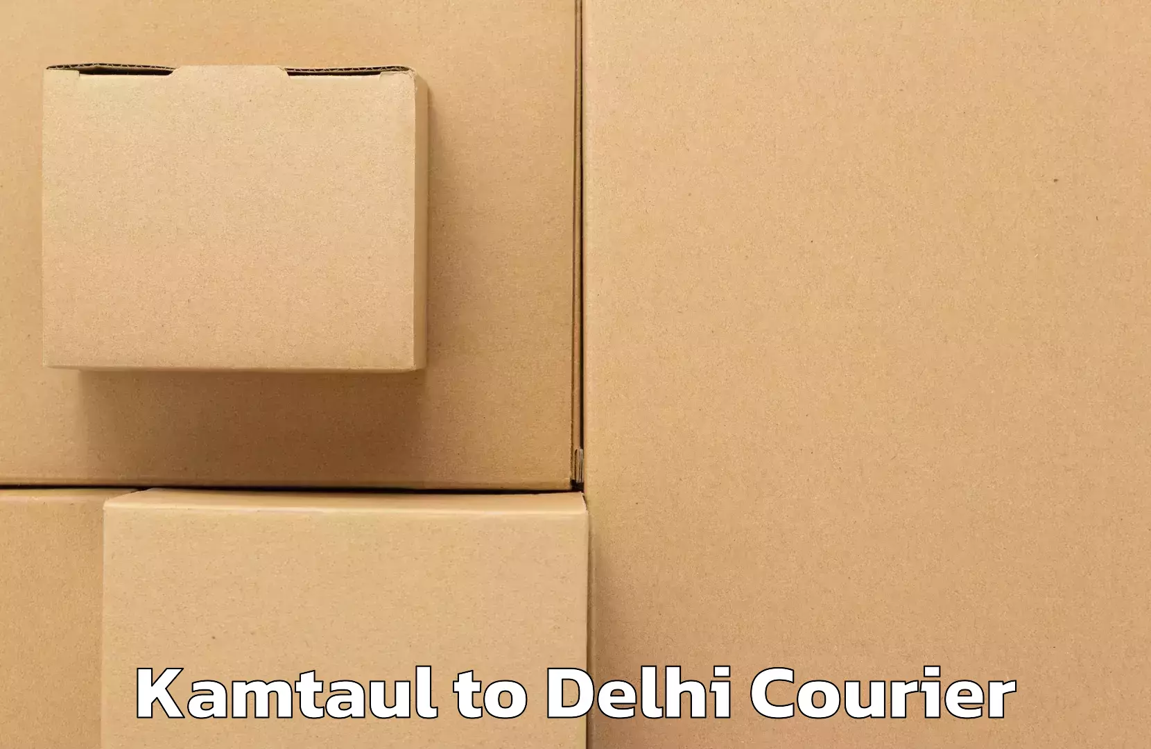 User-friendly courier app Kamtaul to Ashok Vihar