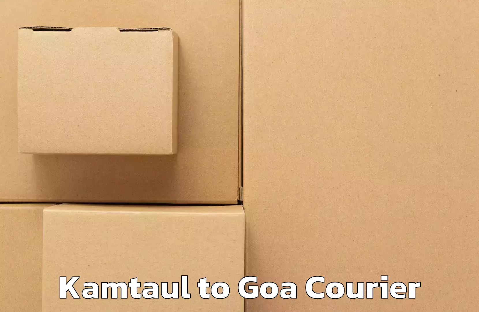 Professional courier handling Kamtaul to Vasco da Gama