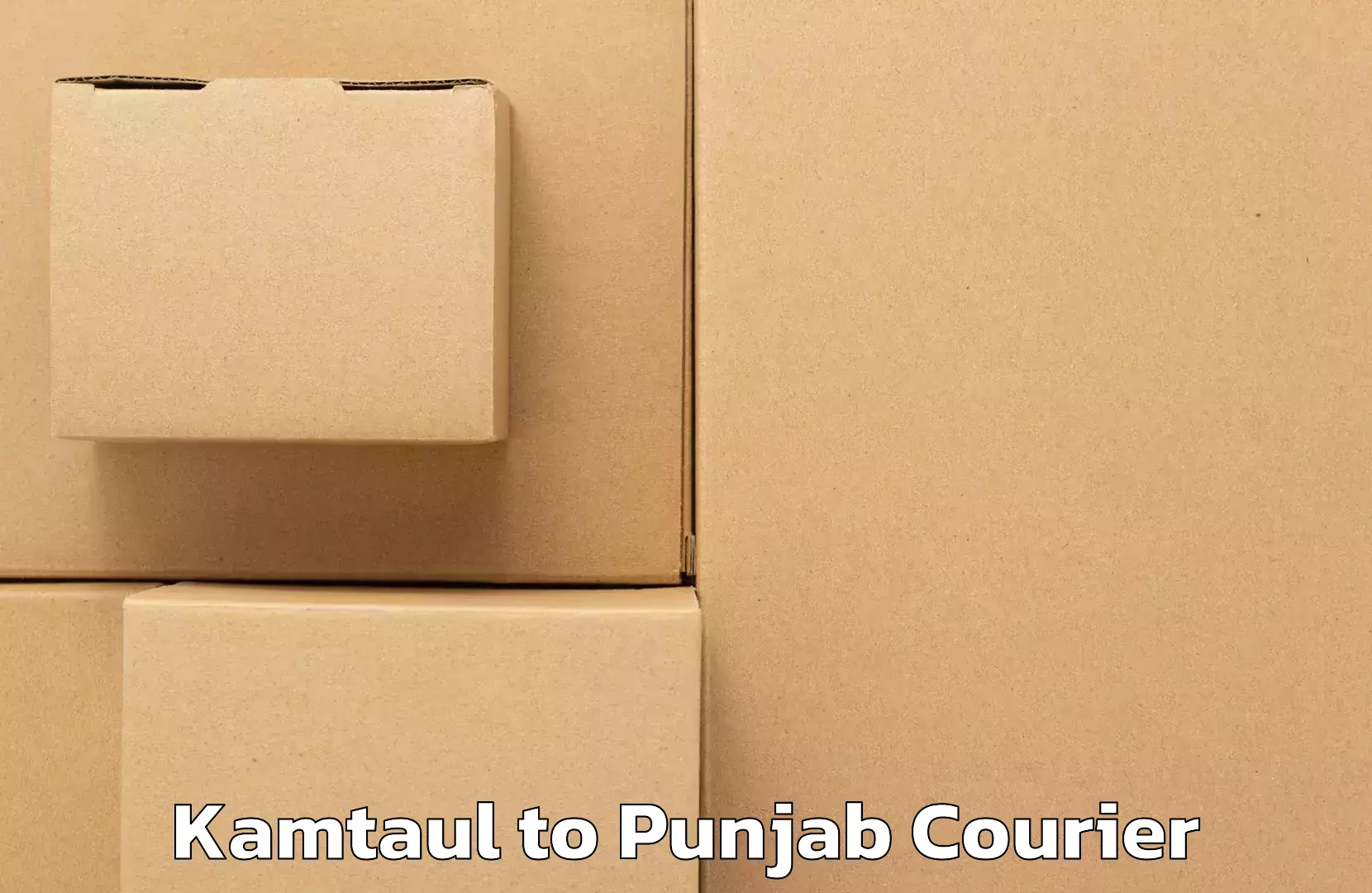 International shipping rates in Kamtaul to Malerkotla