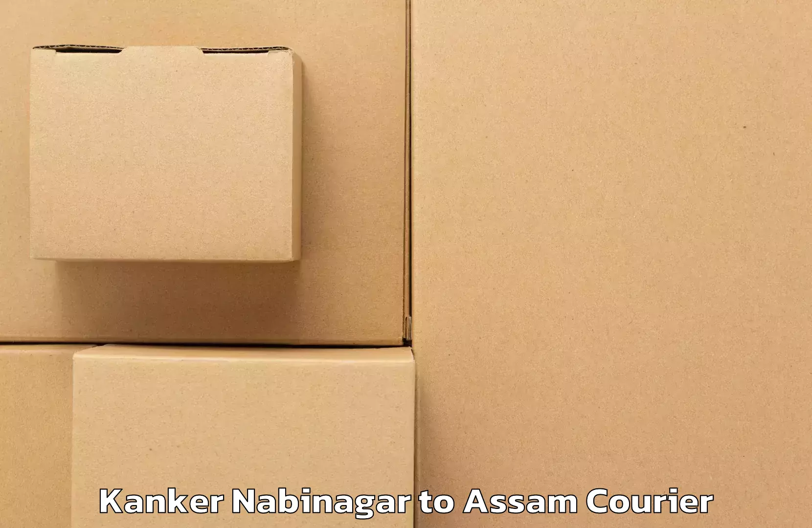 Pharmaceutical courier Kanker Nabinagar to Jonai