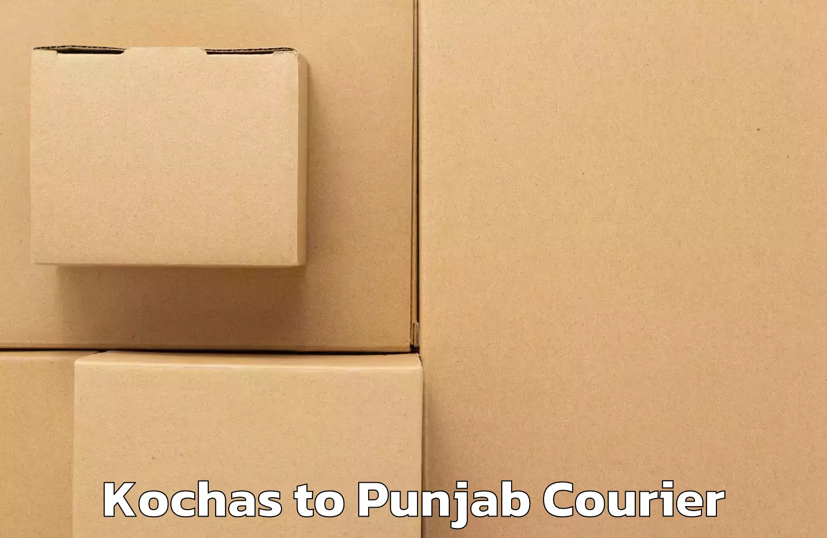 24-hour courier services Kochas to Central University of Punjab Bathinda