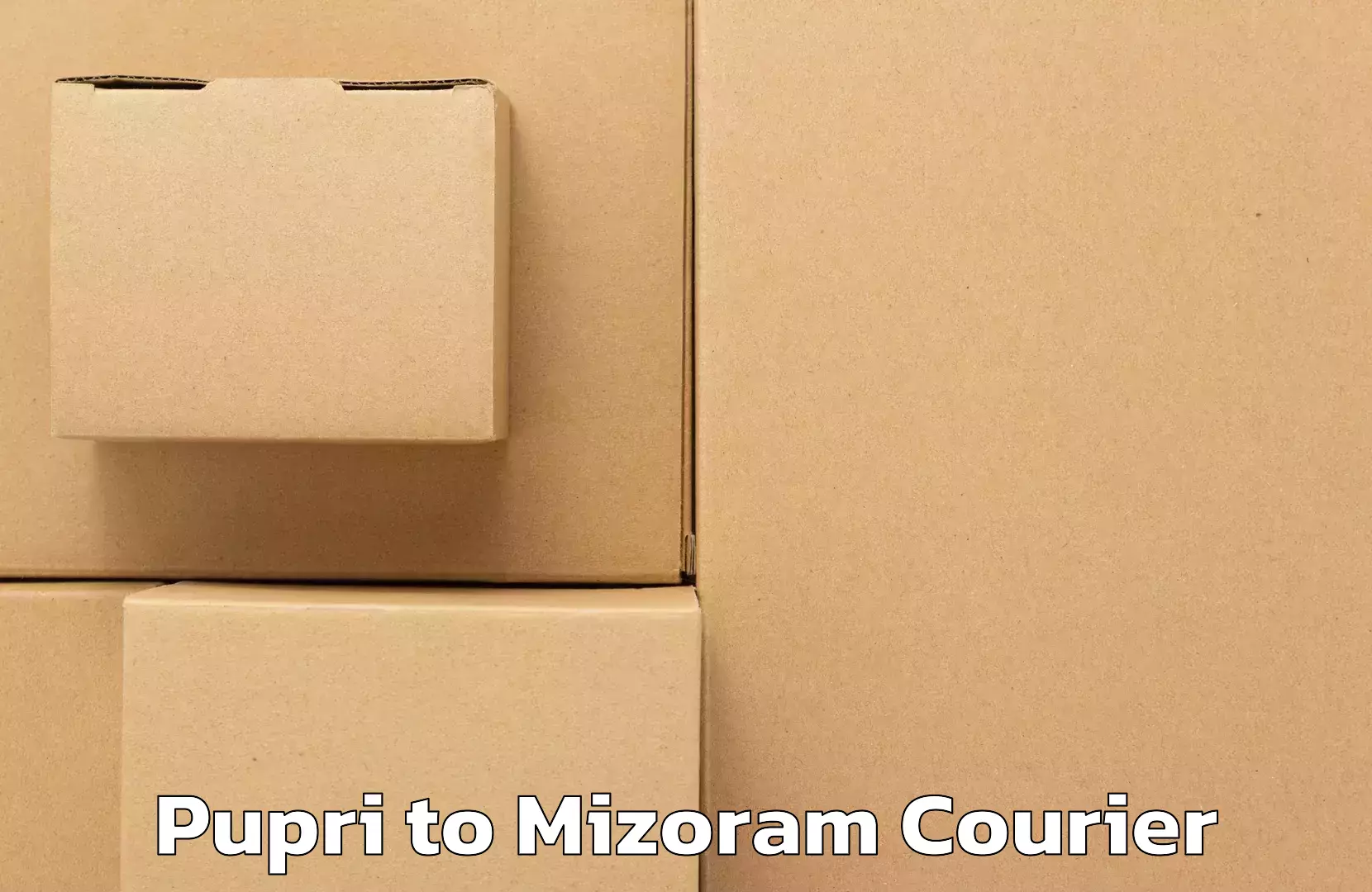 Integrated shipping services Pupri to Mizoram University Aizawl