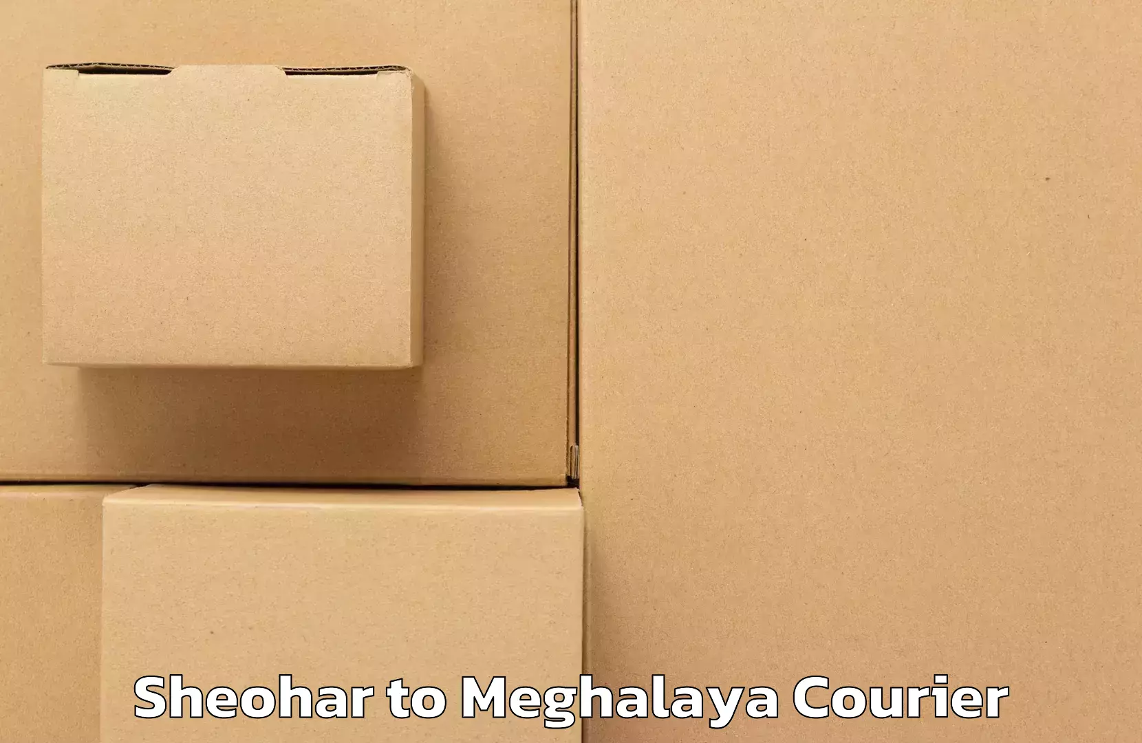 Urban courier service Sheohar to Dkhiah West