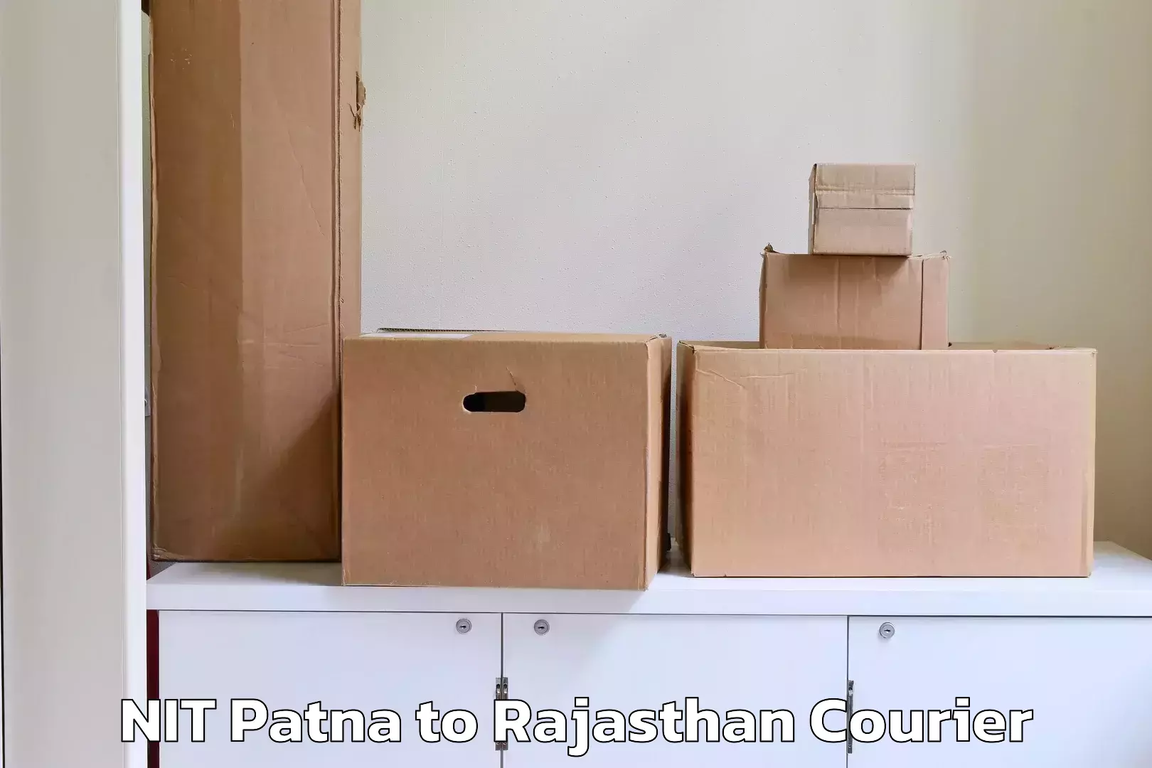 International parcel service NIT Patna to Pratapgarh Rajasthan