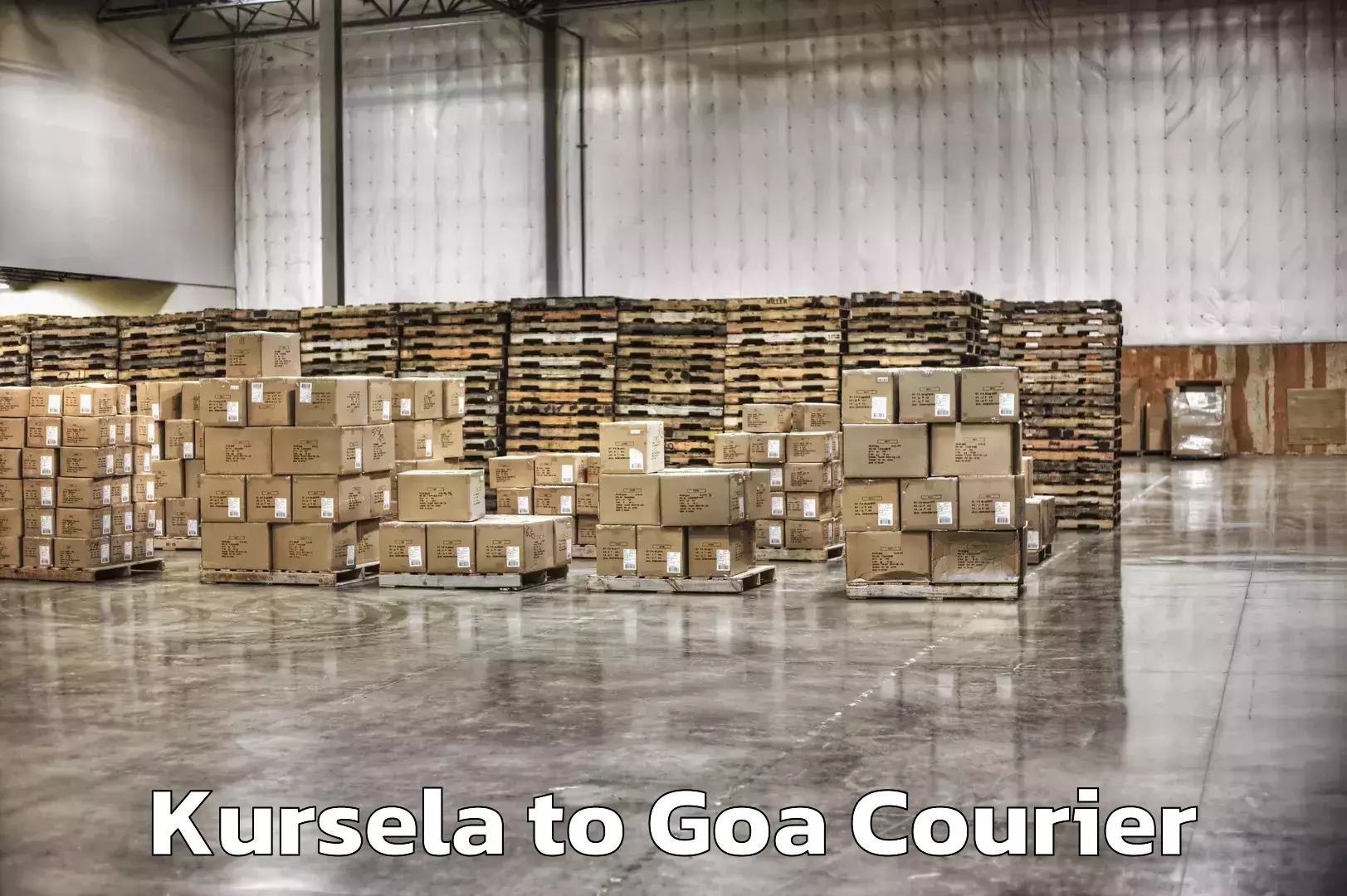 Premium courier services Kursela to Margao