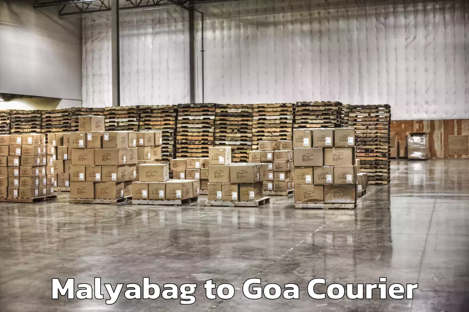 Dynamic parcel delivery Malyabag to South Goa