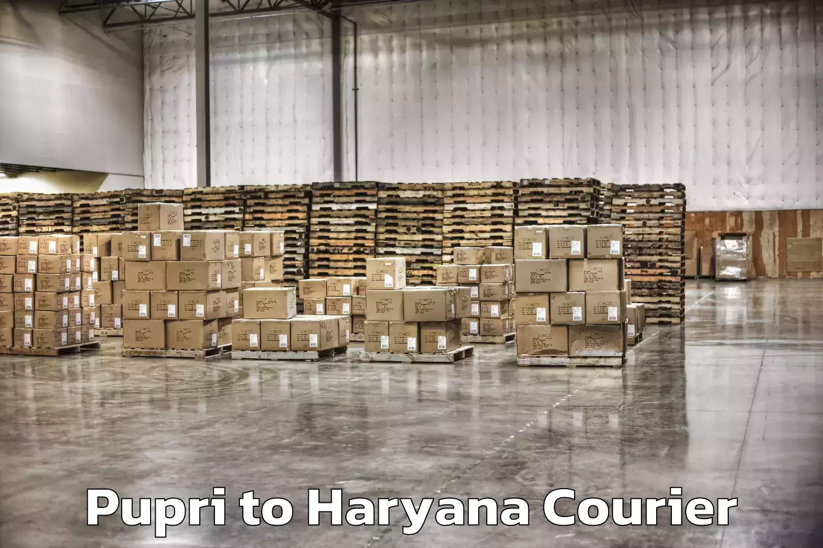 High-capacity courier solutions Pupri to Chaudhary Charan Singh Haryana Agricultural University Hisar