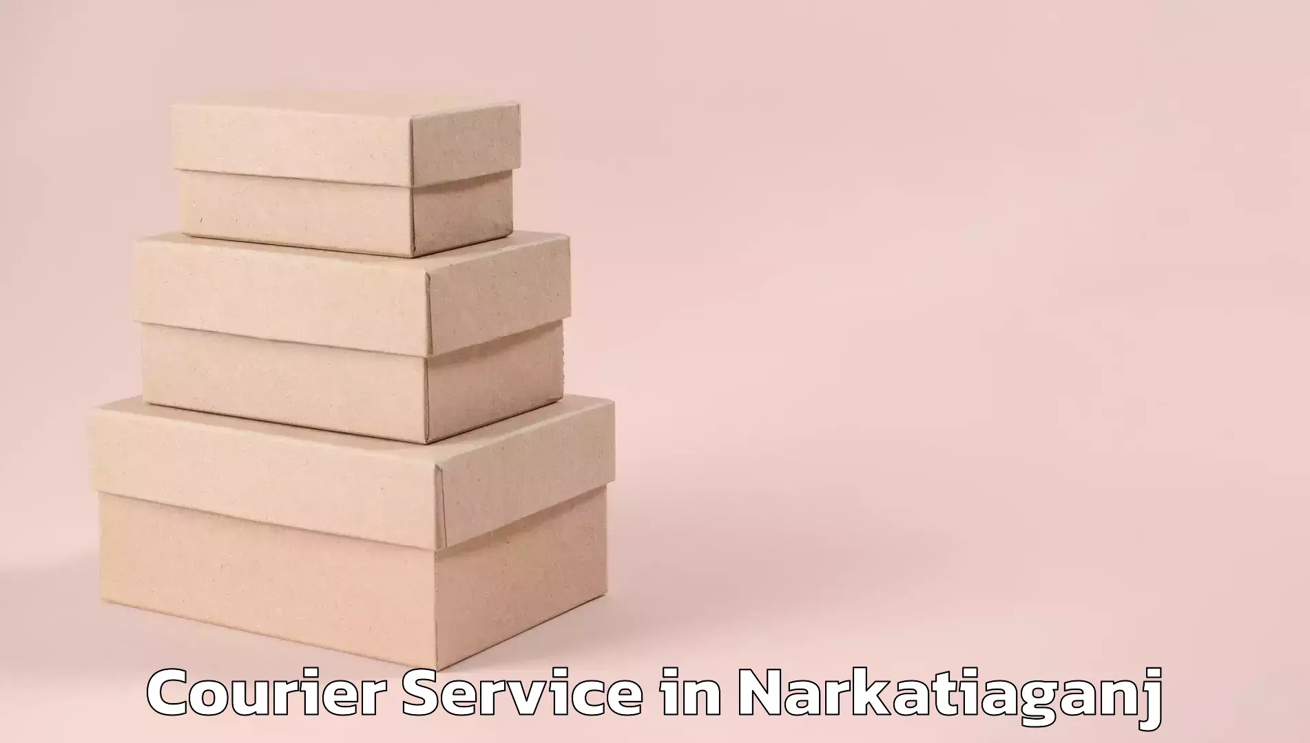Professional delivery solutions in Narkatiaganj