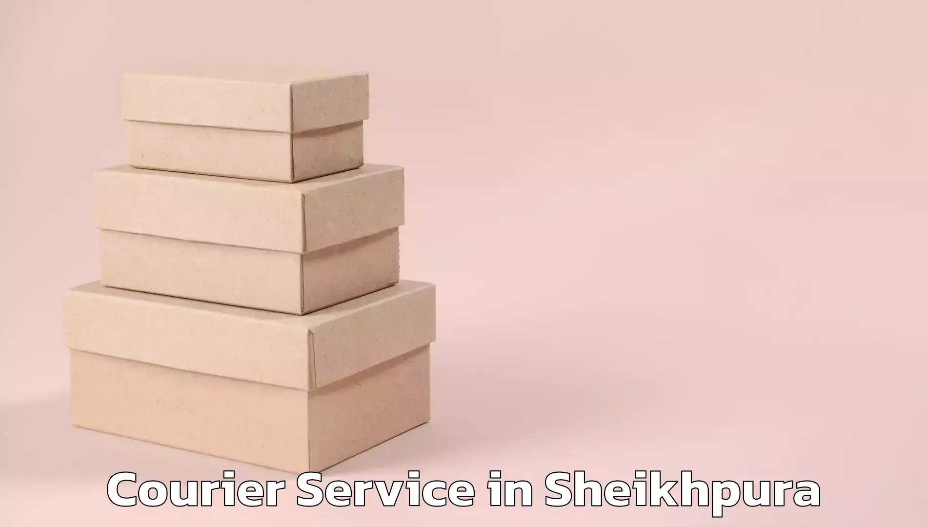 Optimized delivery routes in Sheikhpura