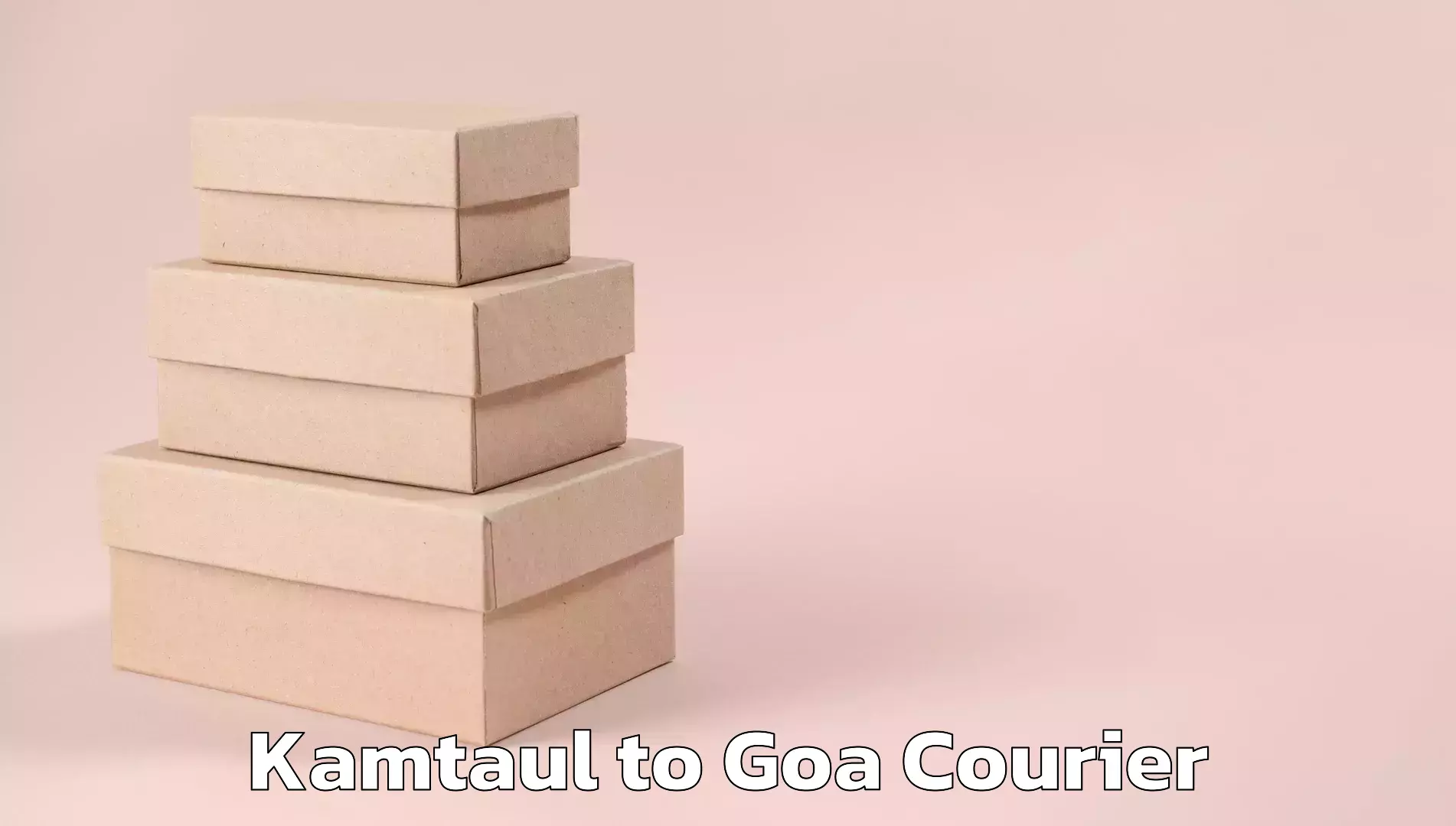 Local courier options Kamtaul to Panjim