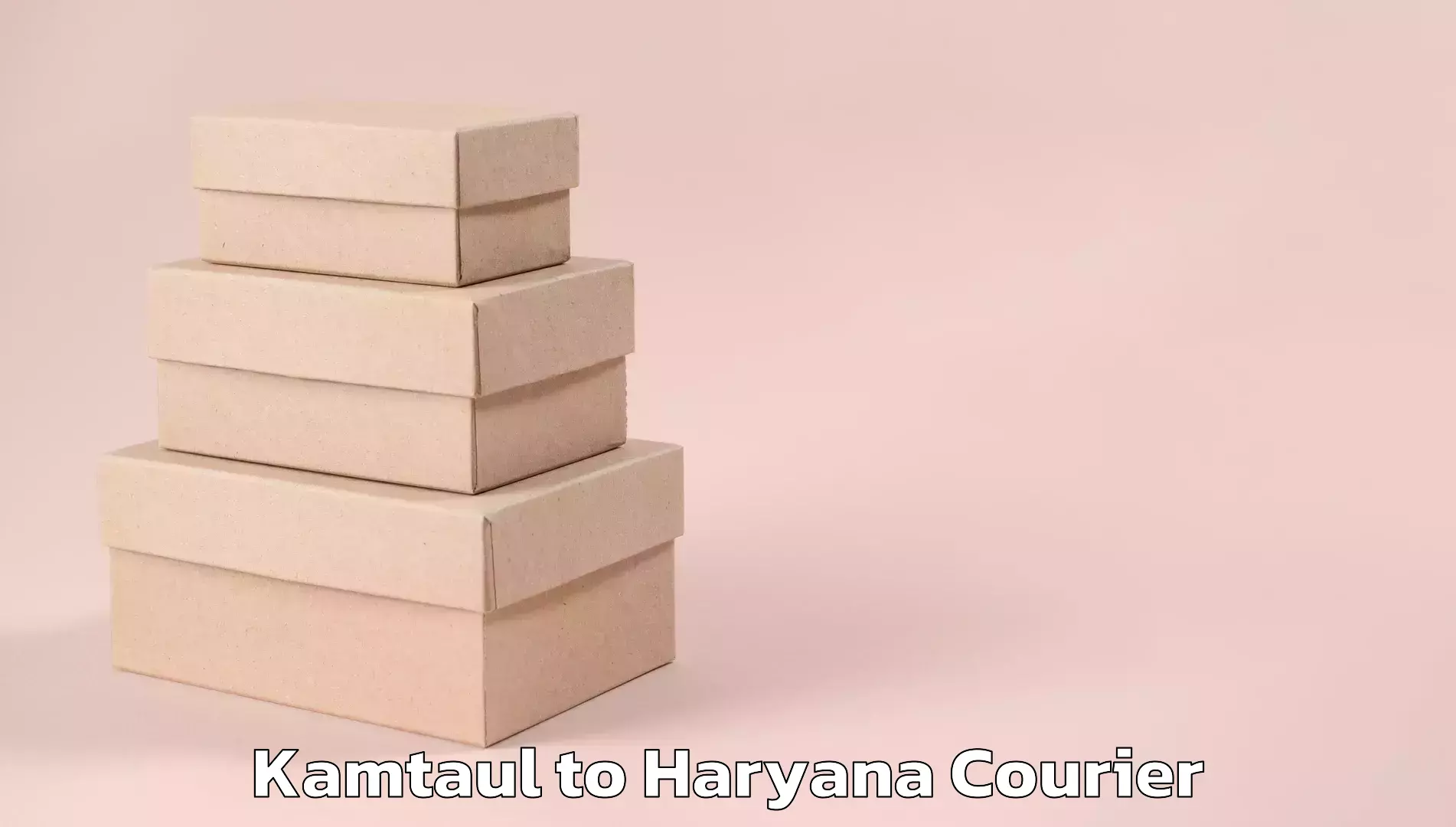 Small parcel delivery Kamtaul to NCR Haryana