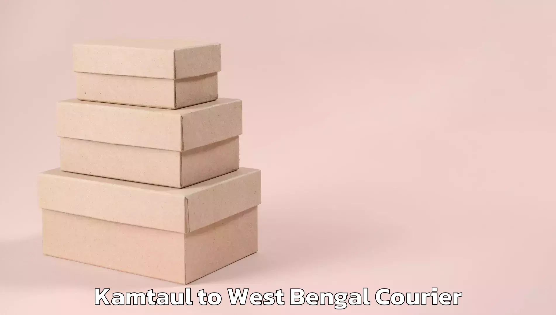 Urgent courier needs in Kamtaul to Chandrakona Road