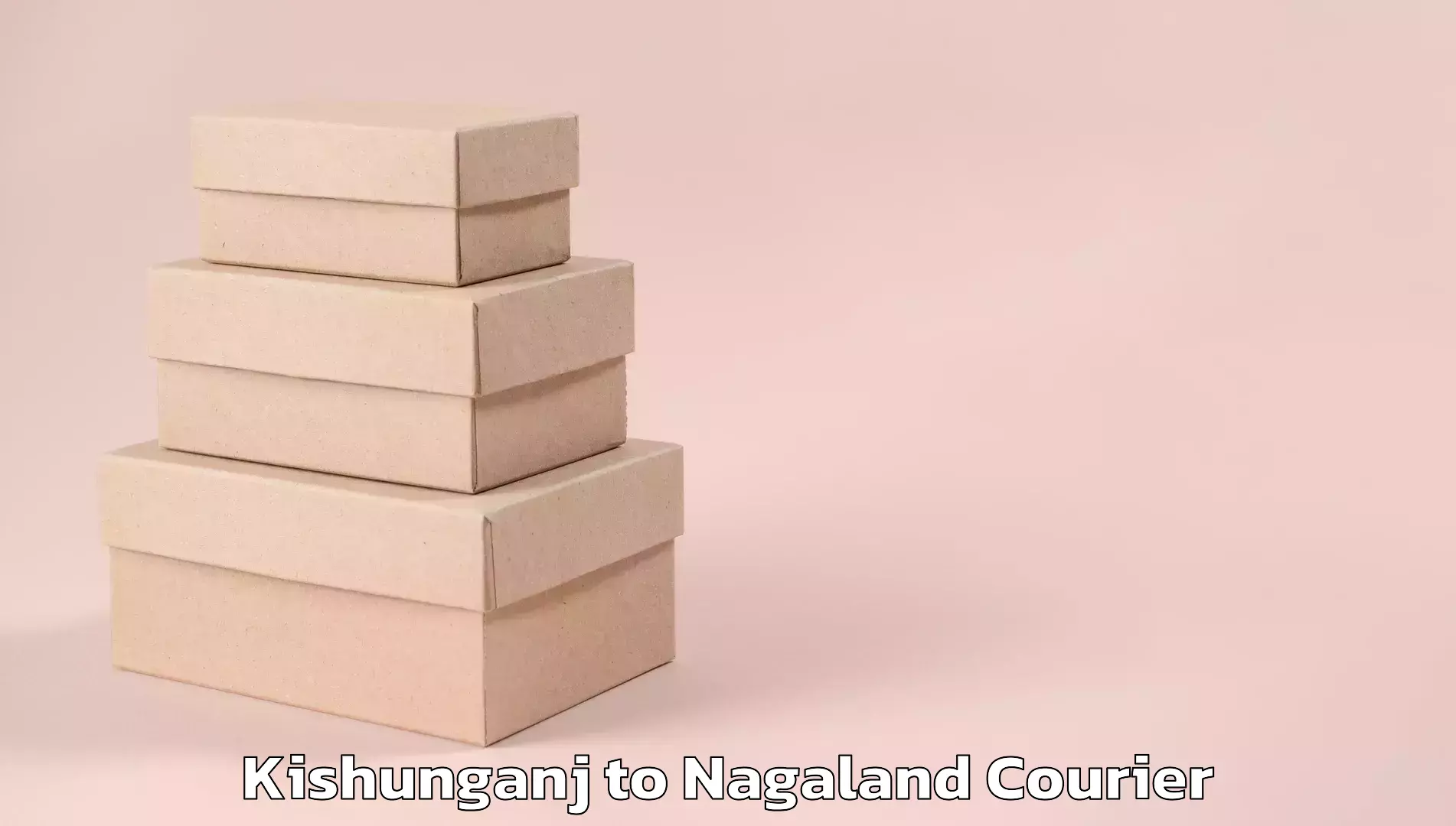 Cost-effective courier options Kishunganj to Nagaland