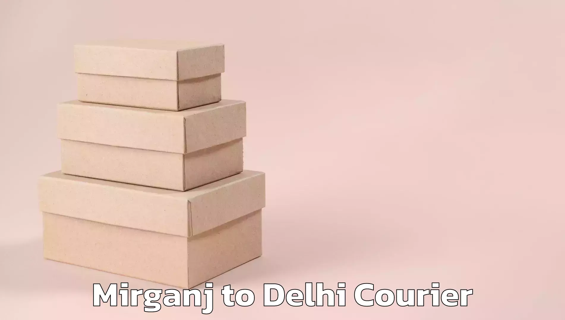 Lightweight courier Mirganj to Naraina Industrial Estate