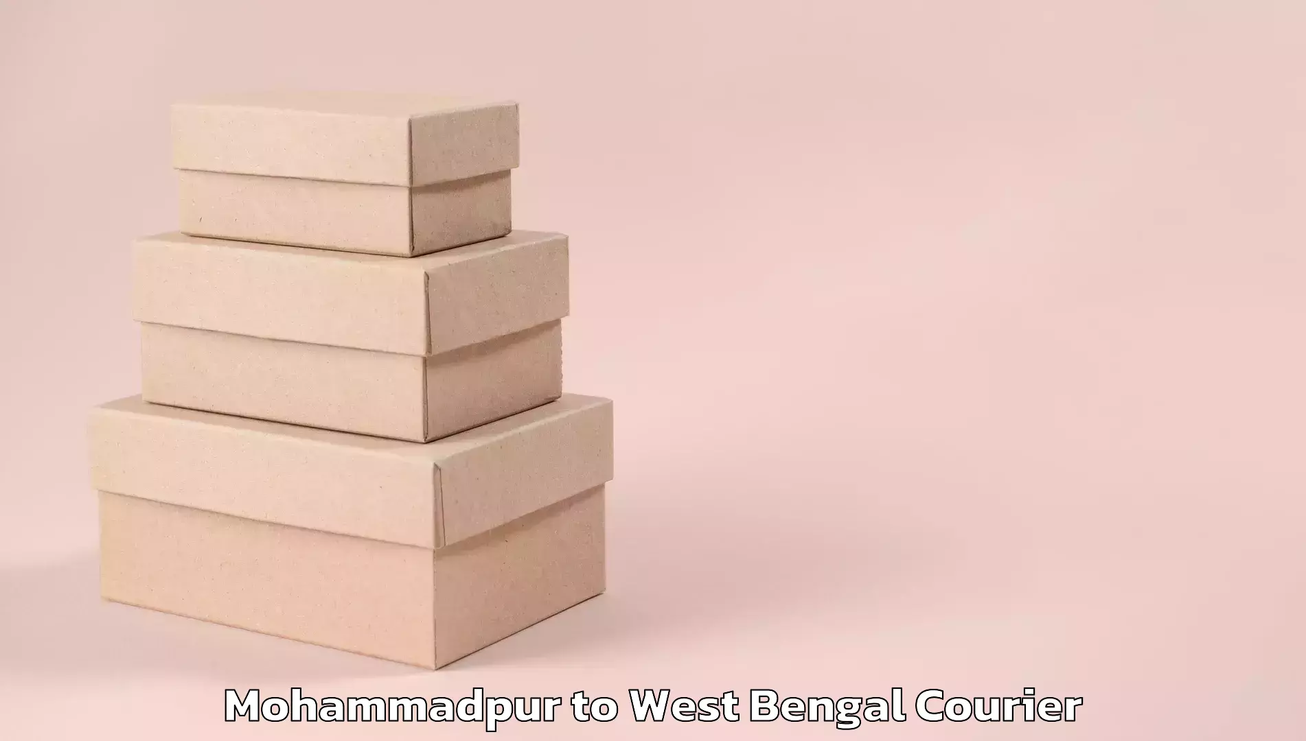 Nationwide courier service Mohammadpur to Kumargram