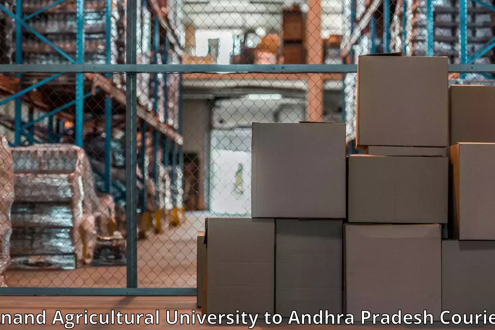 Reliable home moving Anand Agricultural University to Koneru Lakshmaiah Education Foundation University Vaddeswaram