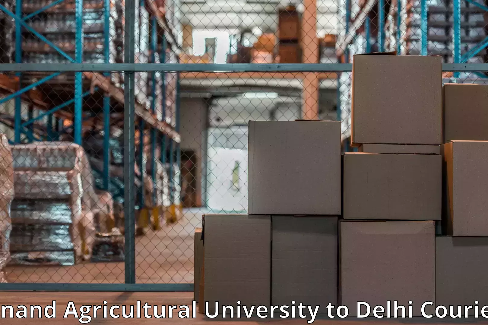Professional goods transport Anand Agricultural University to East Delhi