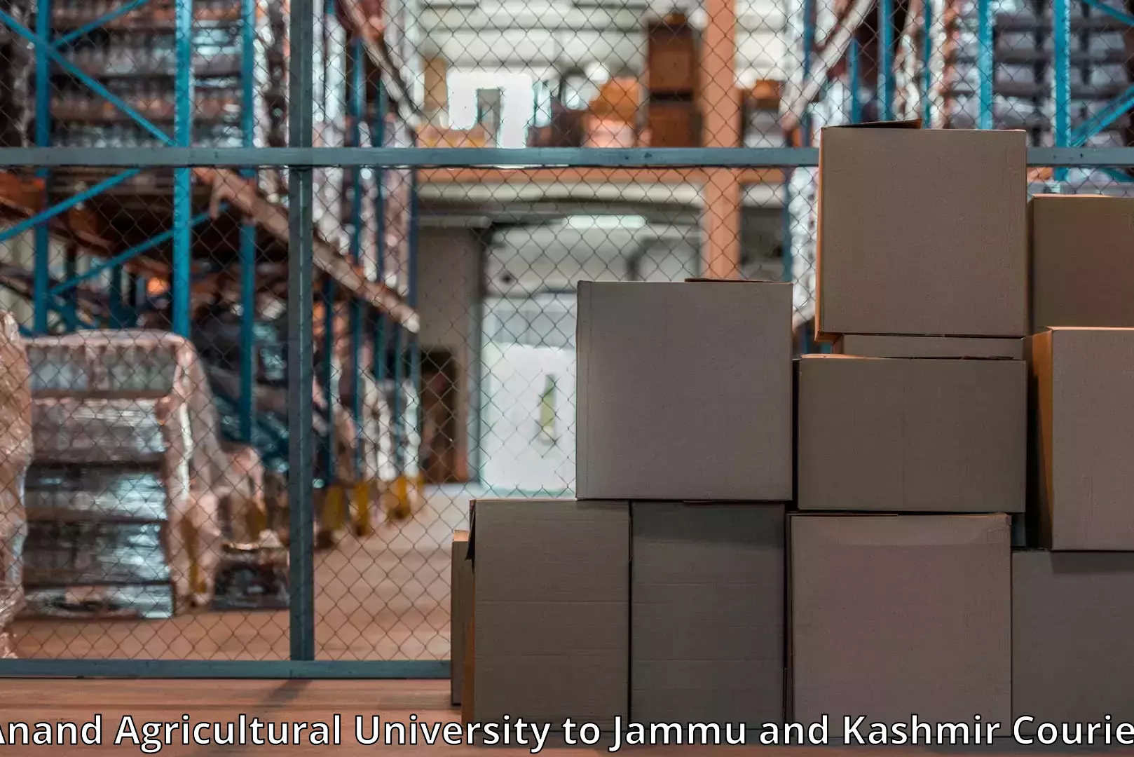 Custom relocation solutions Anand Agricultural University to Jammu and Kashmir