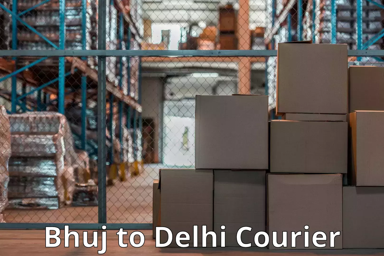 Household logistics services Bhuj to Delhi