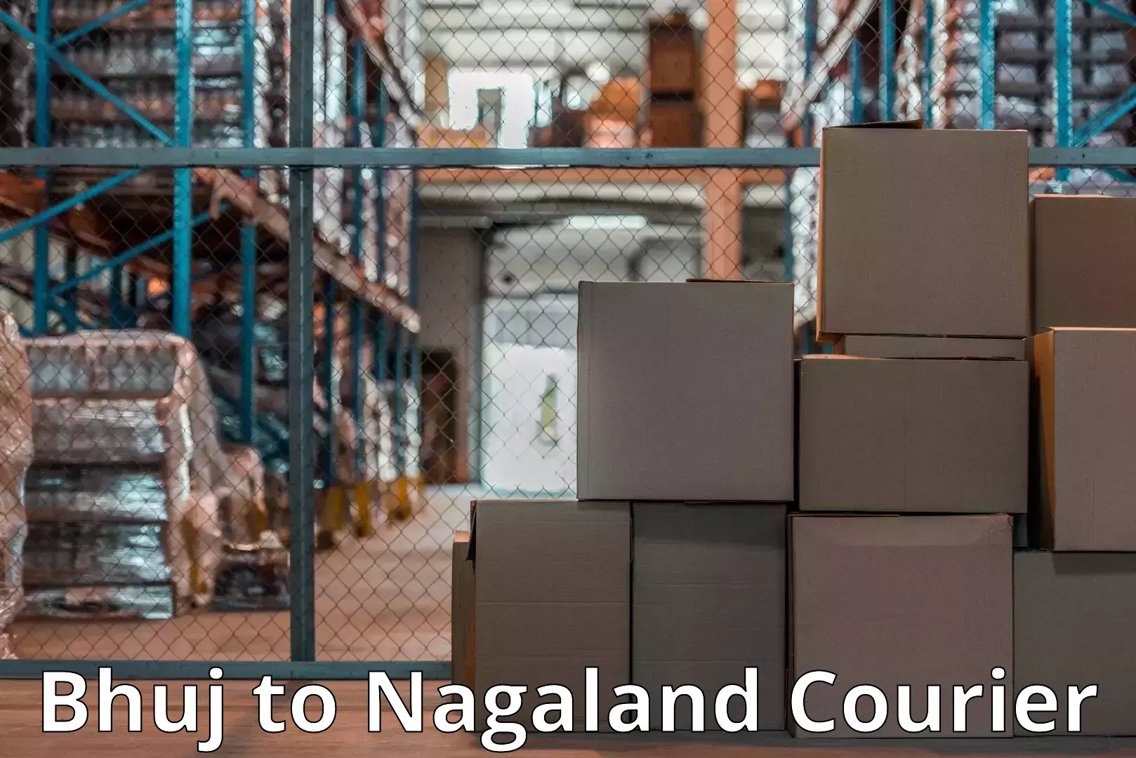 Household goods transport Bhuj to NIT Nagaland