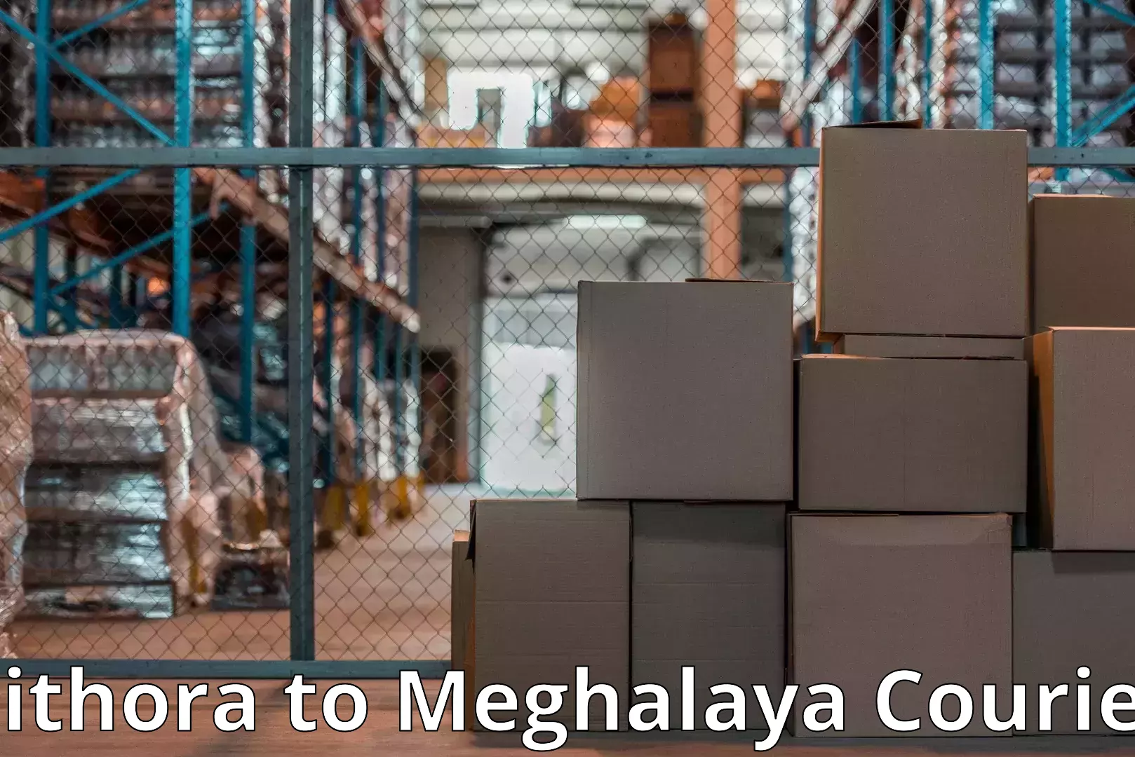 Full-service relocation Pithora to NIT Meghalaya
