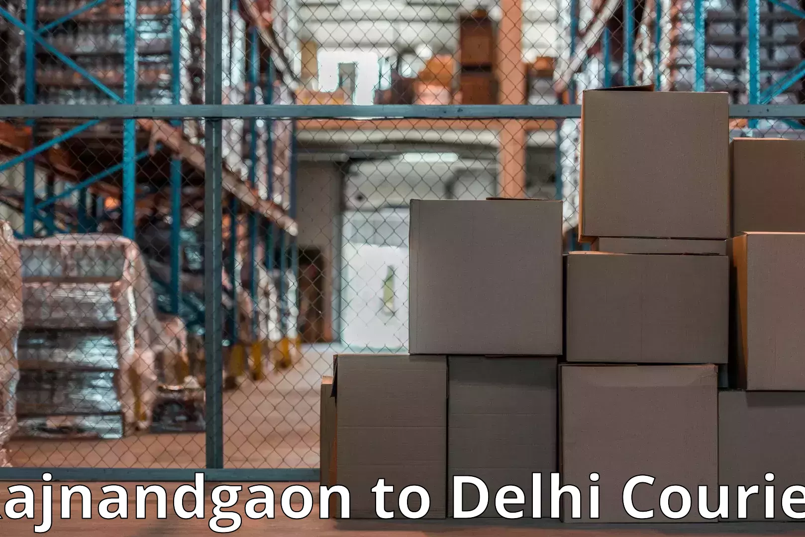Specialized moving company Rajnandgaon to Delhi