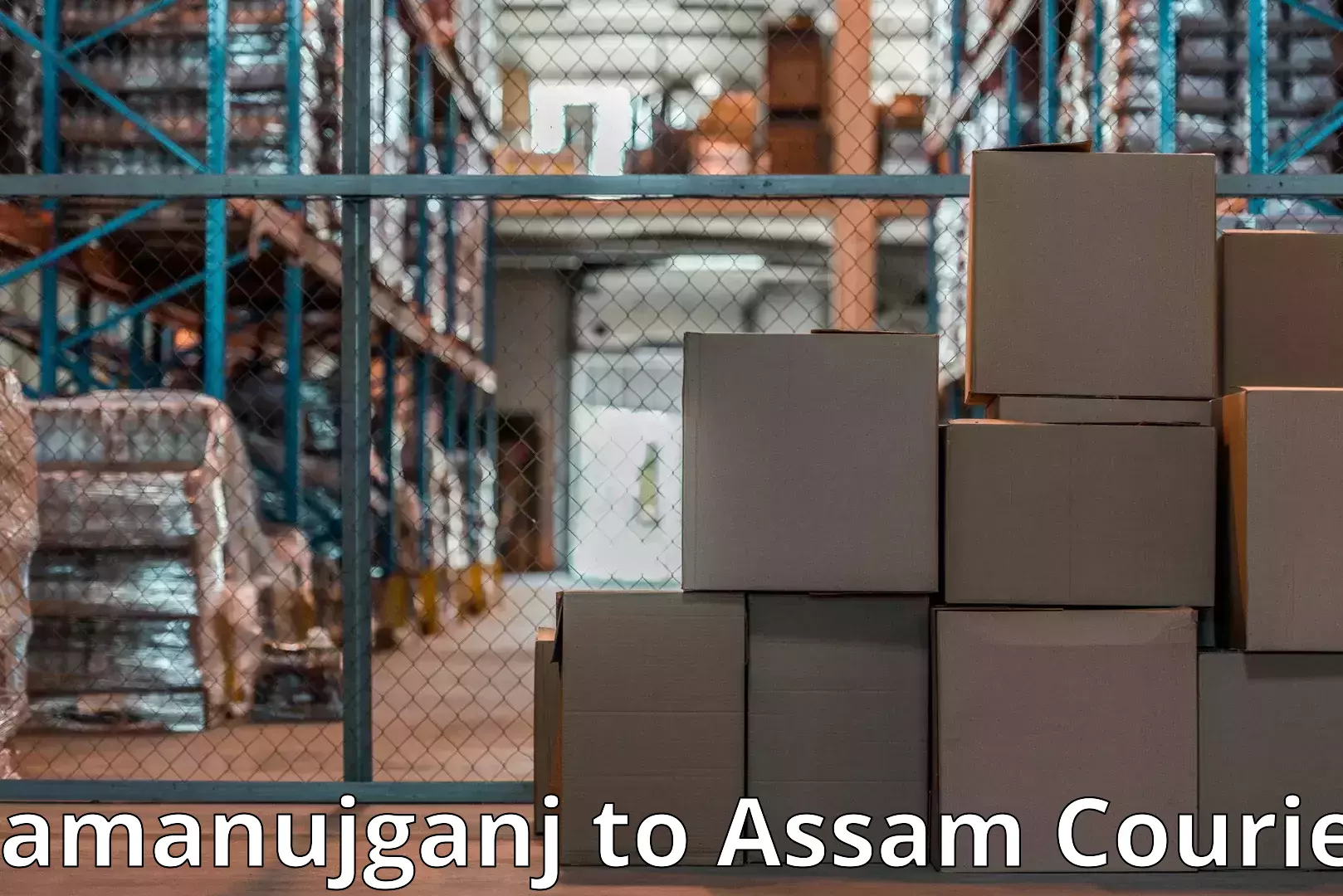 Safe home moving Ramanujganj to Assam