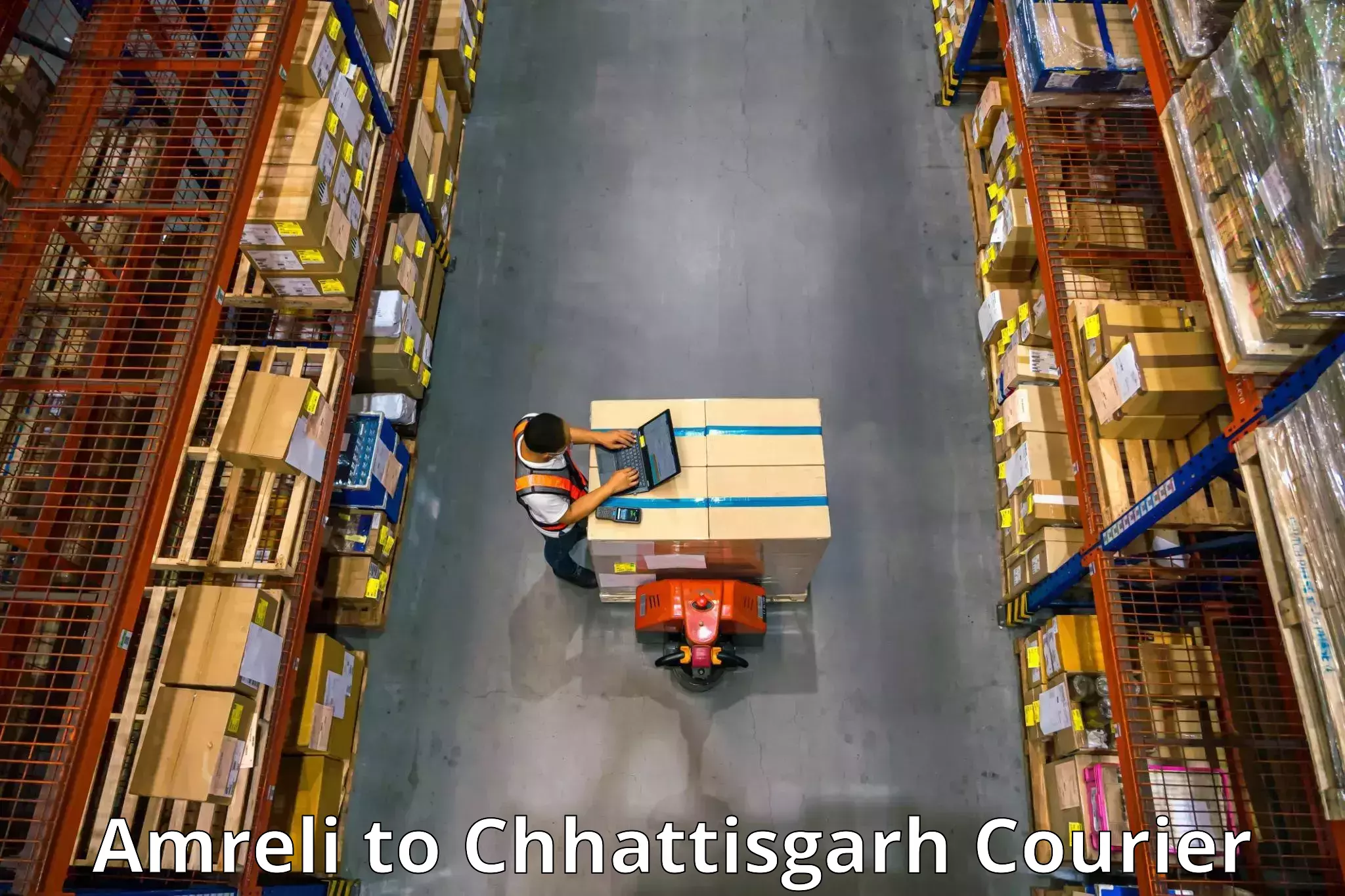 Personalized moving and storage Amreli to Raigarh Chhattisgarh