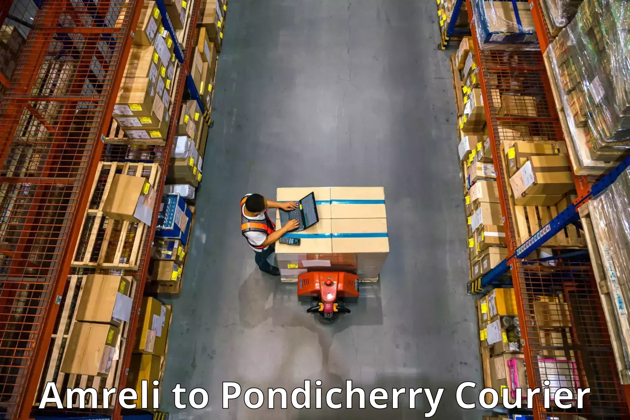 Packing and moving services Amreli to Pondicherry University