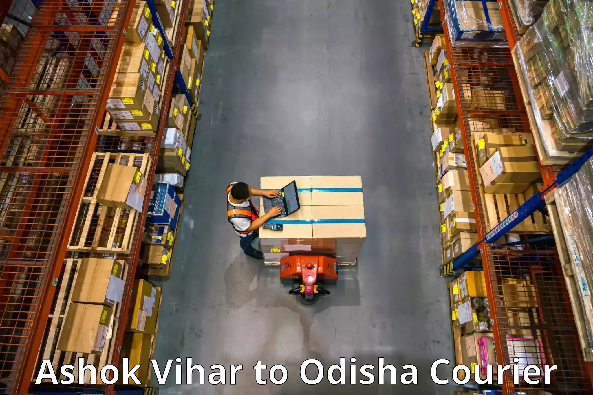 Efficient packing services Ashok Vihar to Odisha