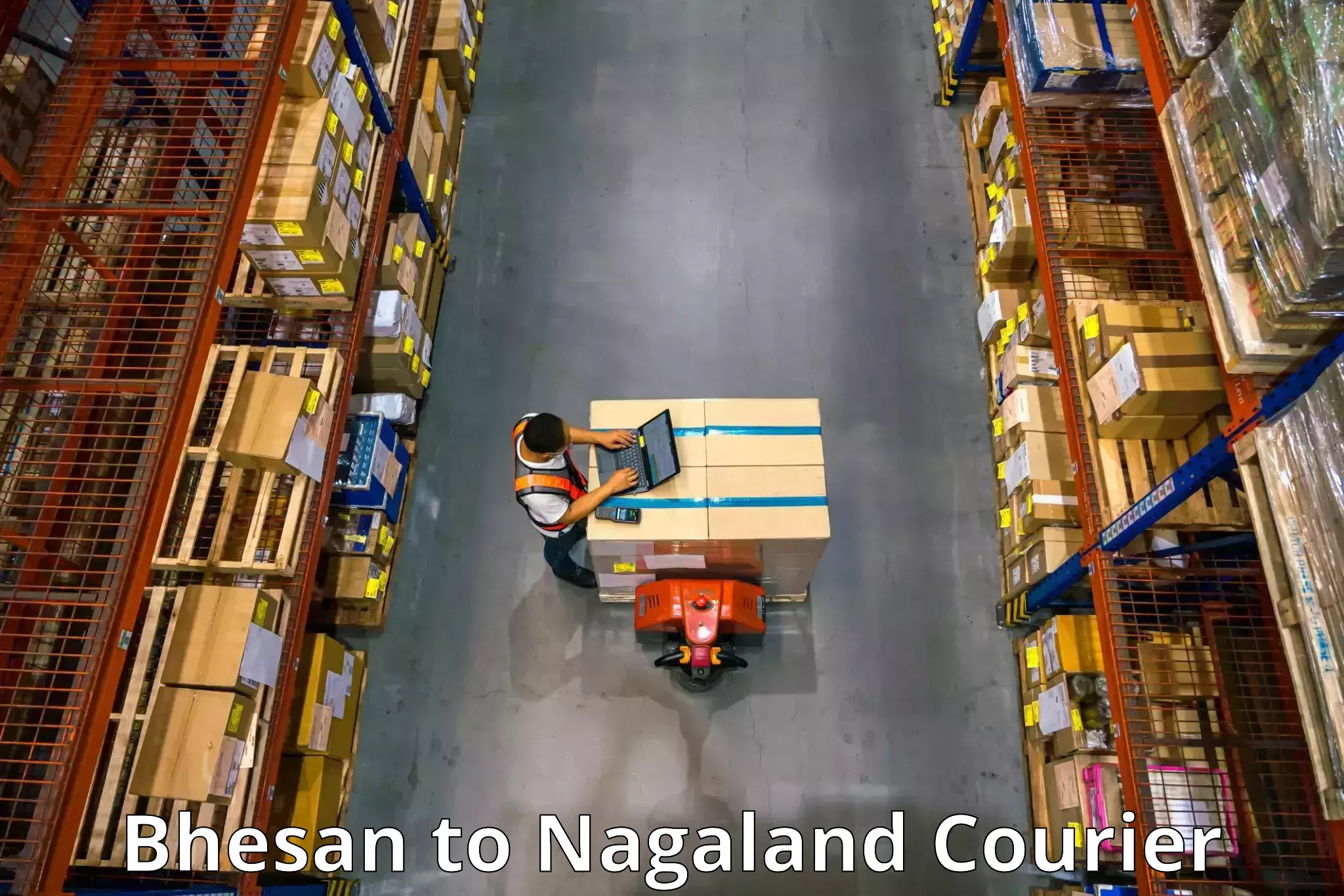Efficient packing services Bhesan to Nagaland