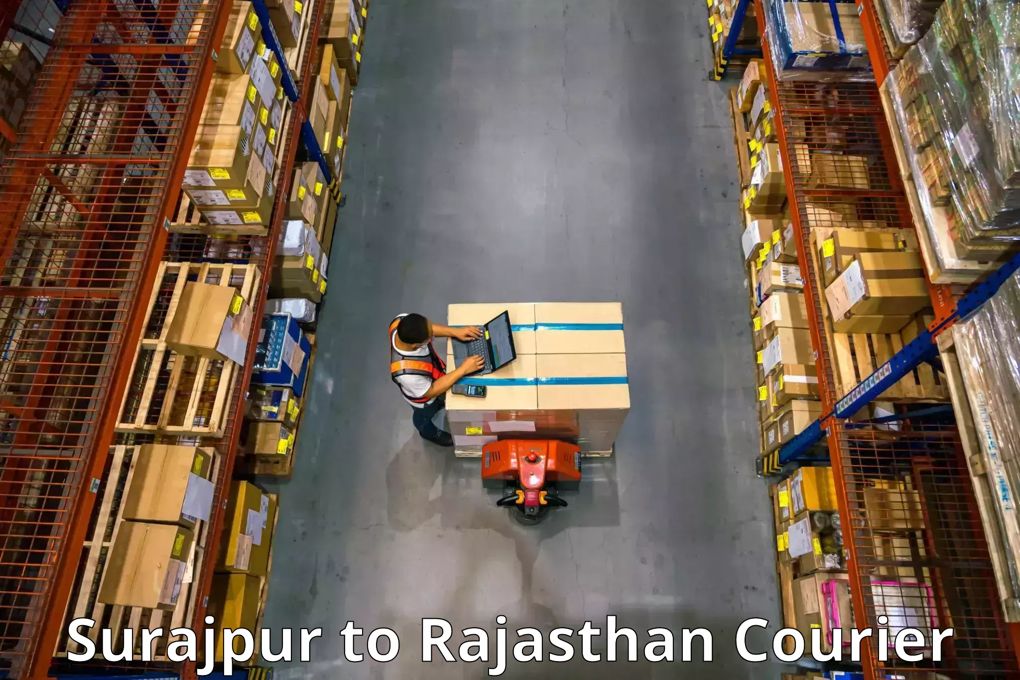 Tailored furniture transport in Surajpur to Pratapgarh Rajasthan