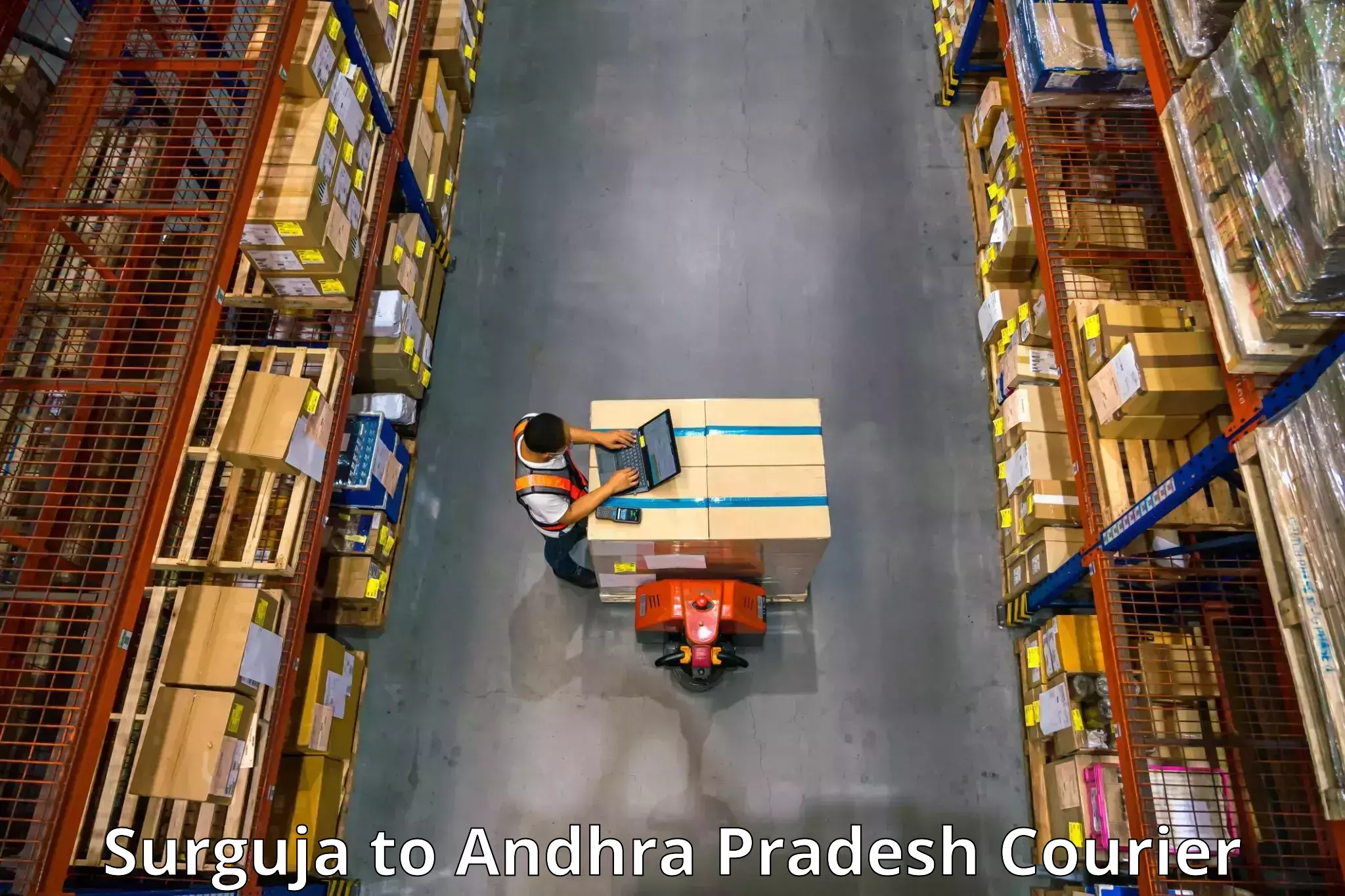 Furniture relocation experts Surguja to Pulivendula