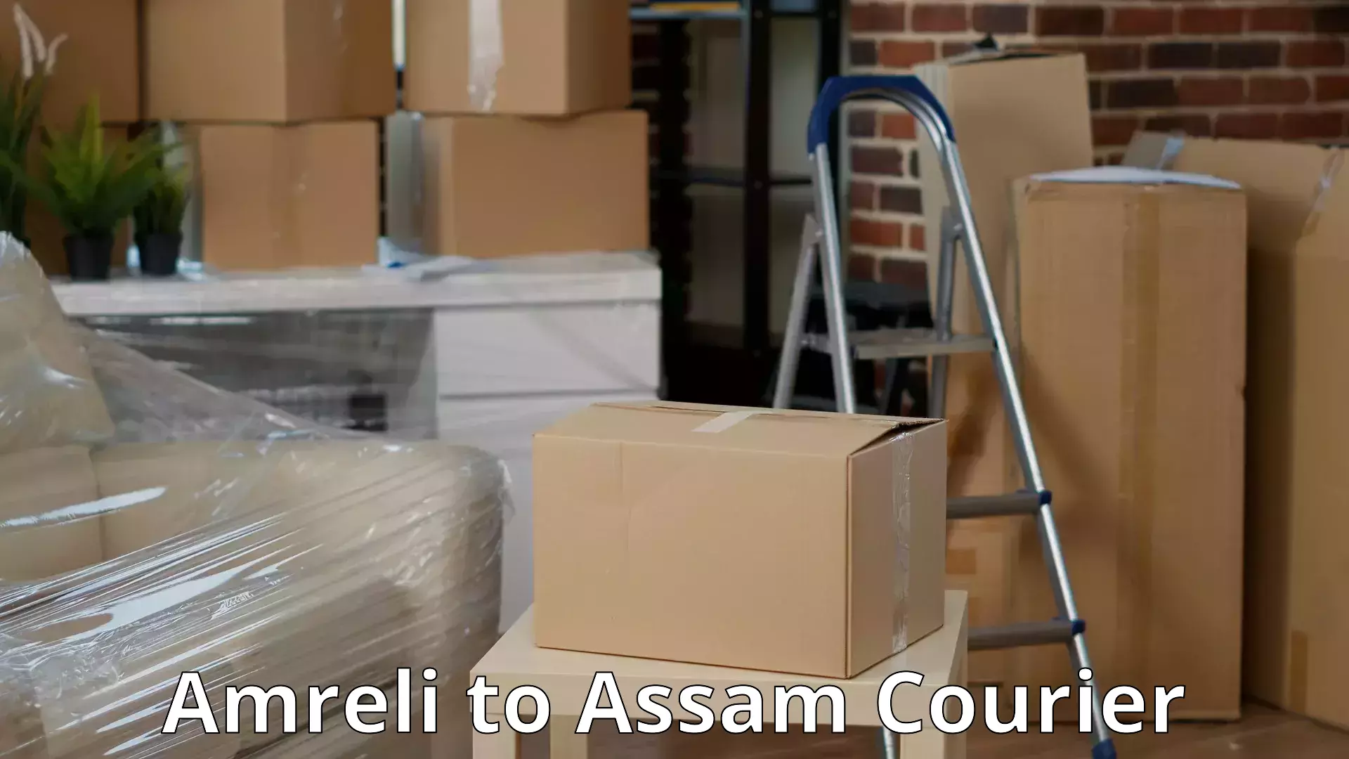 Furniture transport services Amreli to Baksha Bodoland