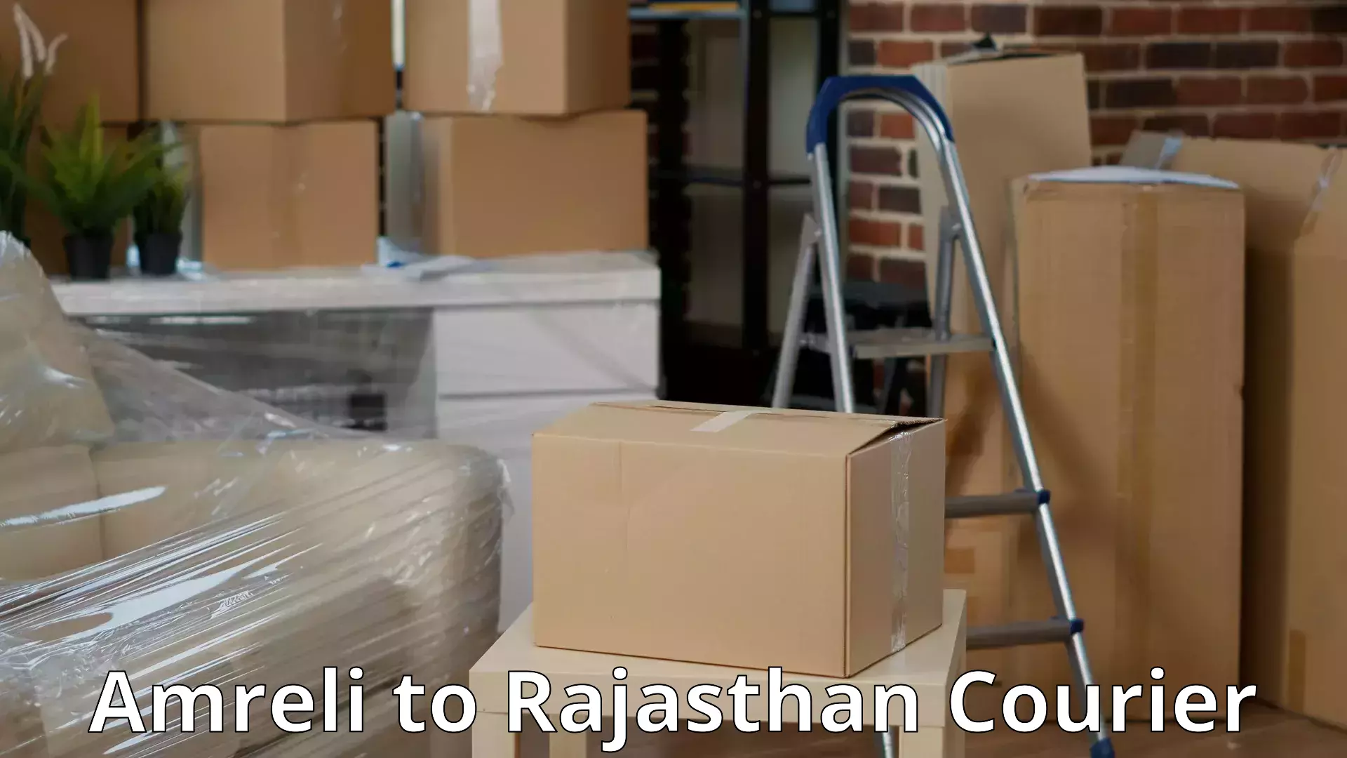 Quality moving company Amreli to Rajasthan