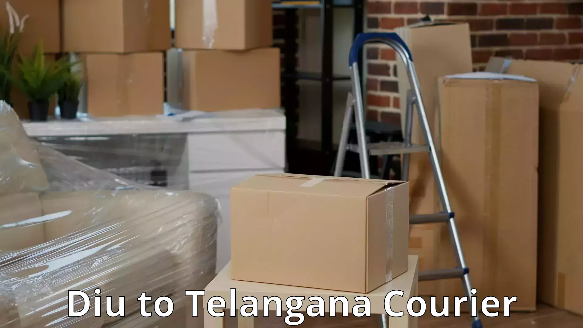 Reliable moving assistance Diu to Telangana