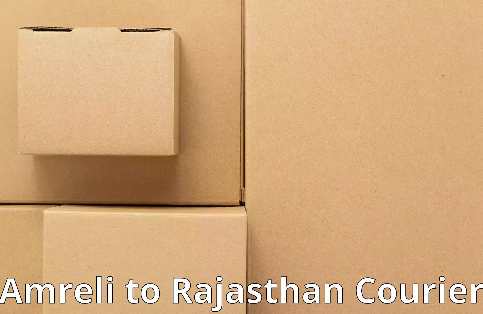 Custom relocation solutions Amreli to Fatehnagar