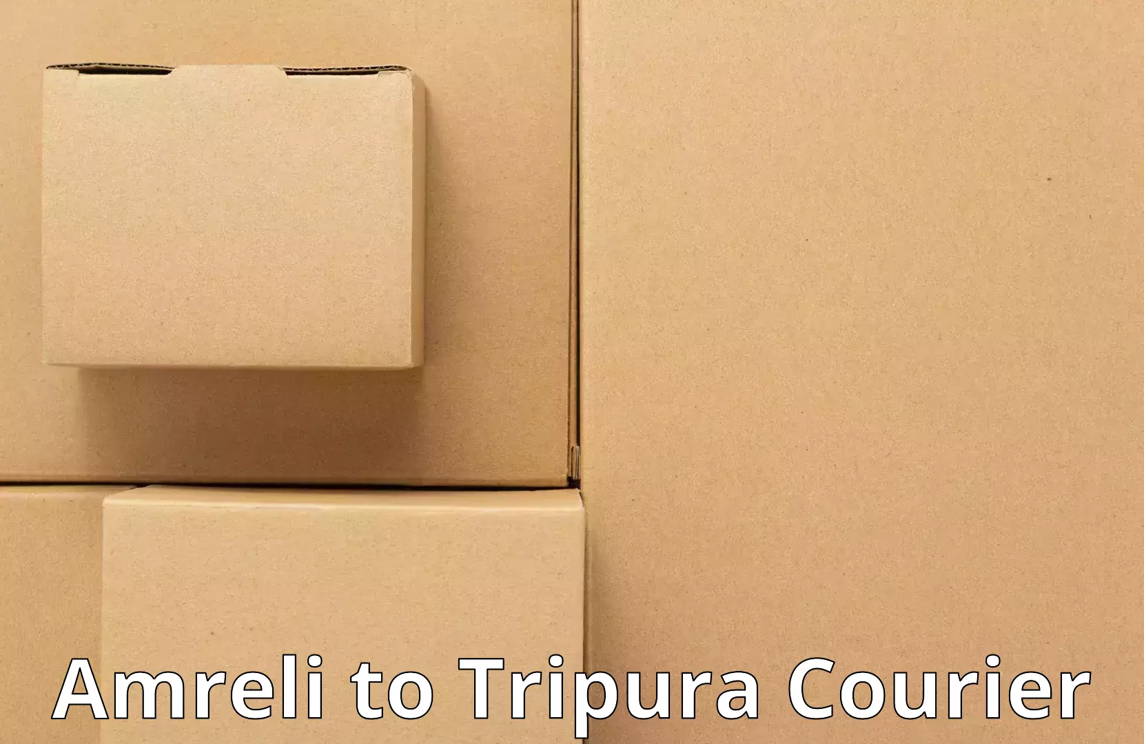 High-quality moving services Amreli to Tripura