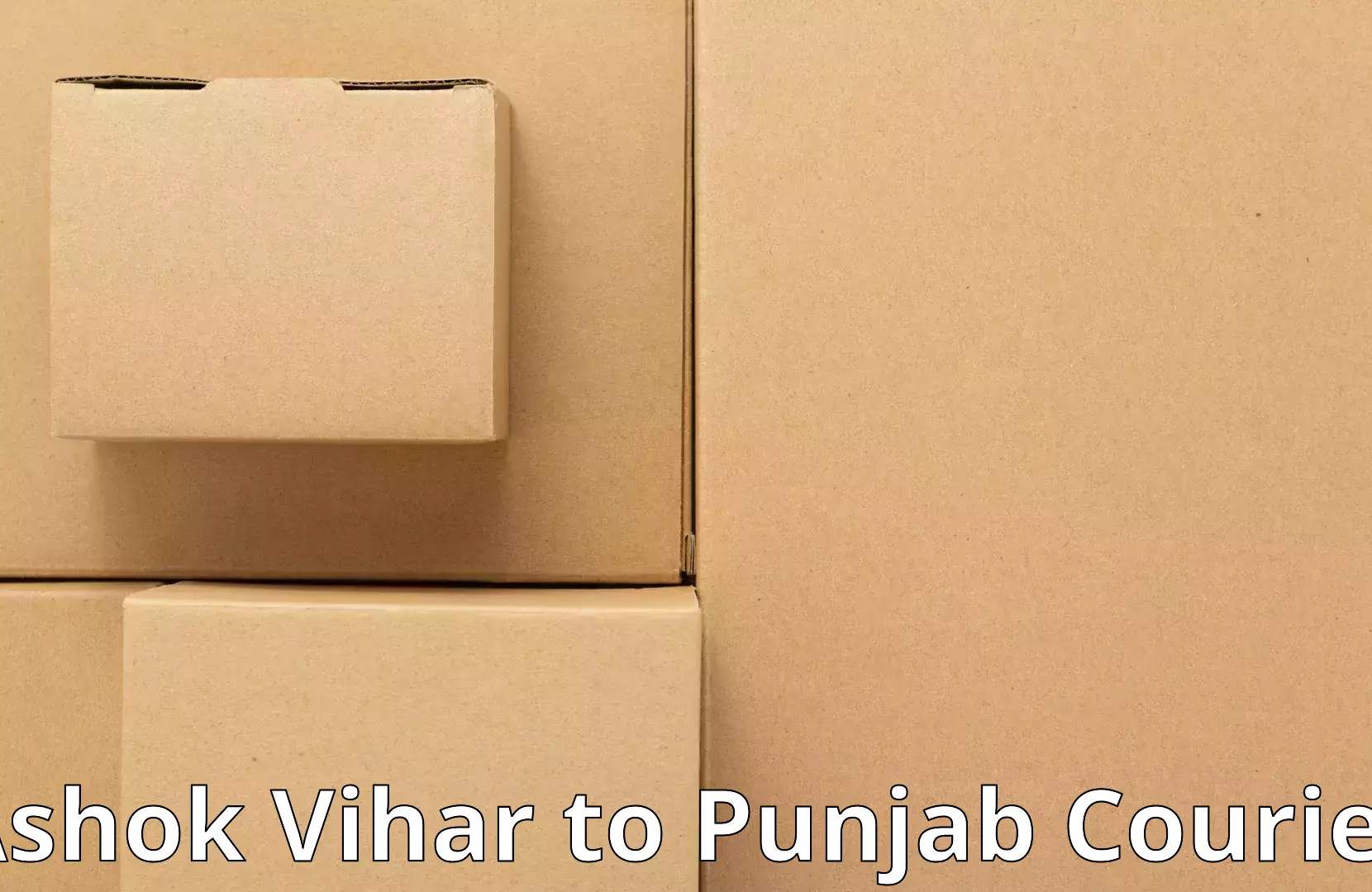 Household goods shipping Ashok Vihar to Giddarbaha