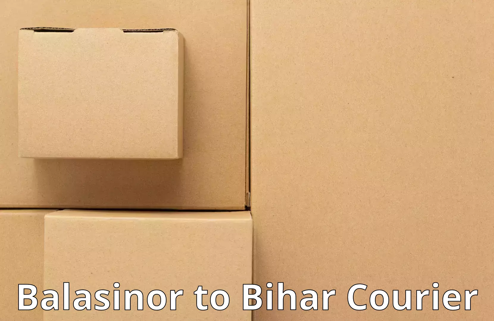 Home goods transport Balasinor to Bihar