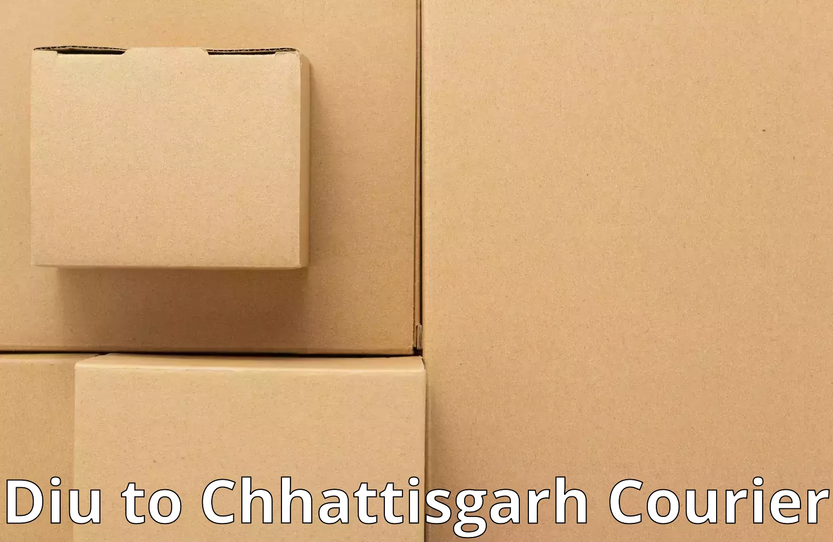 Furniture transport professionals Diu to Dharamjaigarh