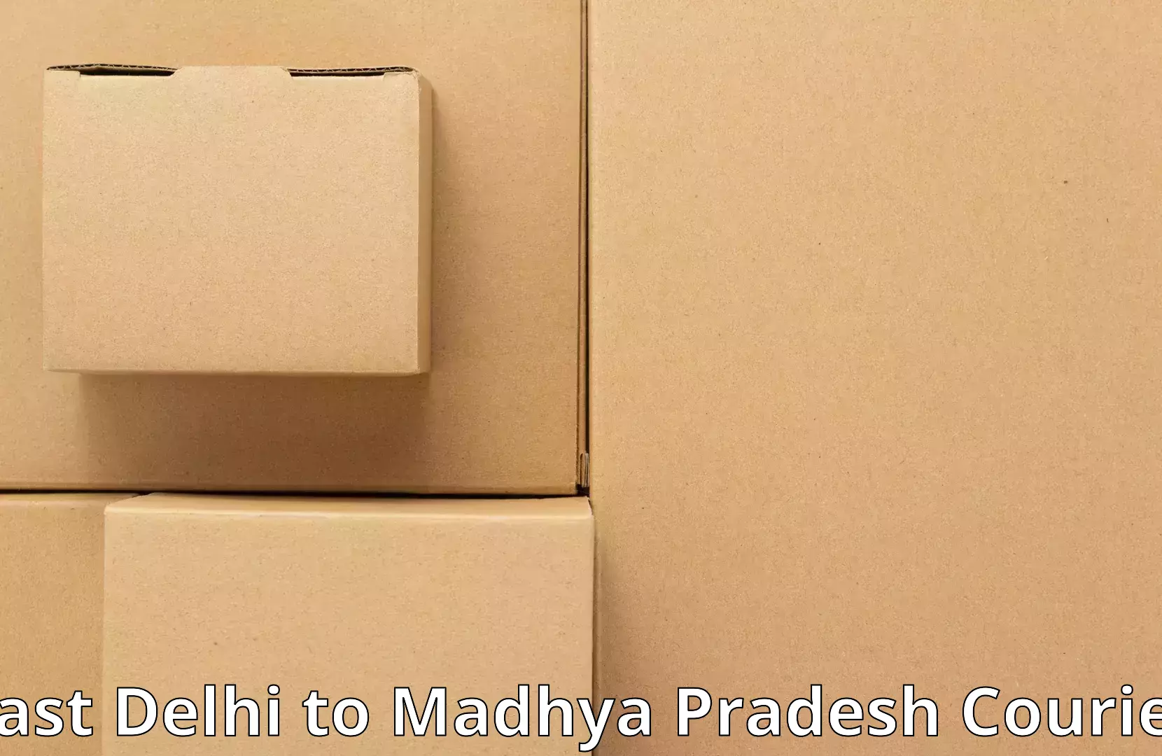 Professional packing and transport East Delhi to Vidisha