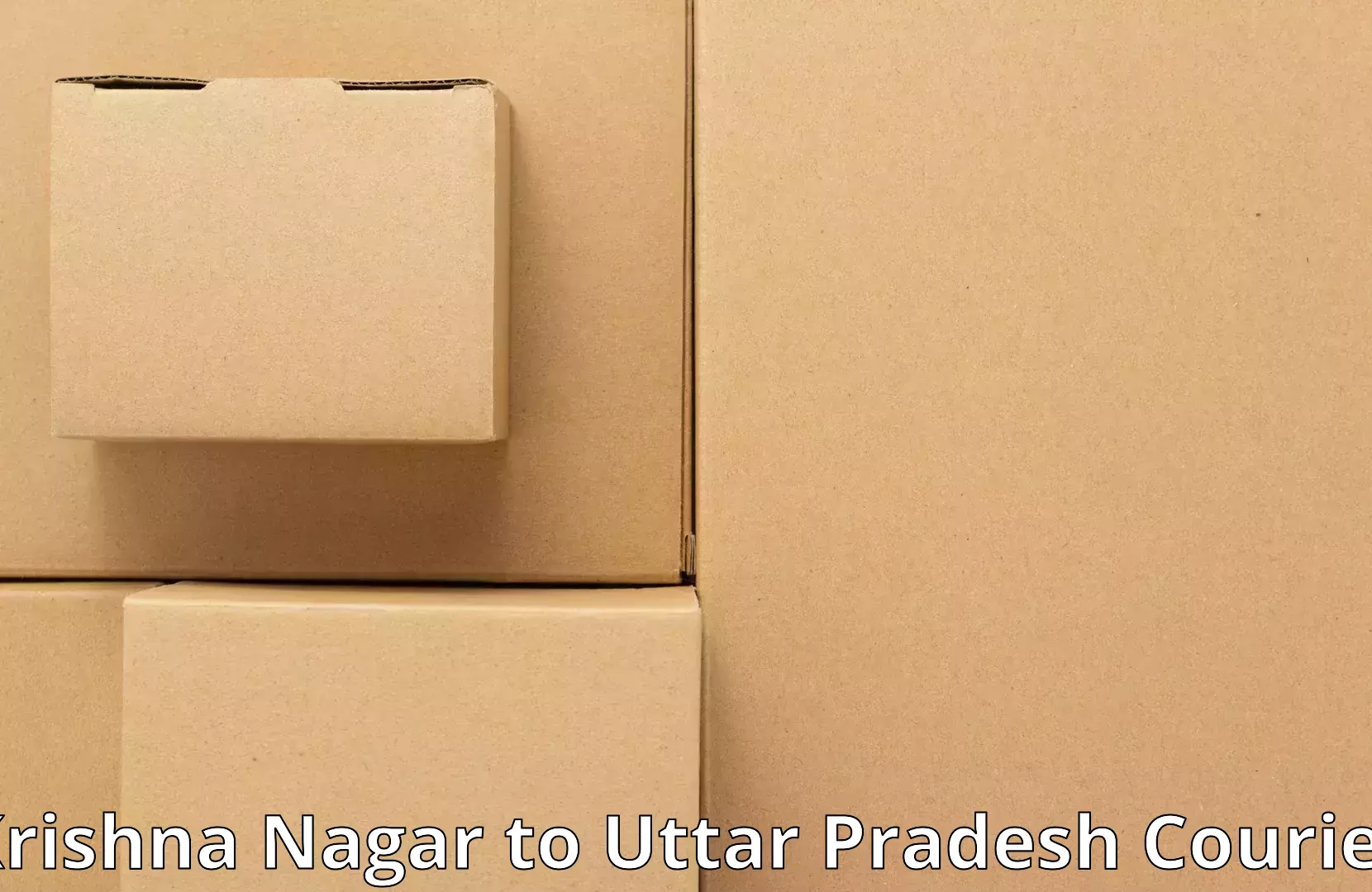 Home goods transport Krishna Nagar to Aligarh Muslim University