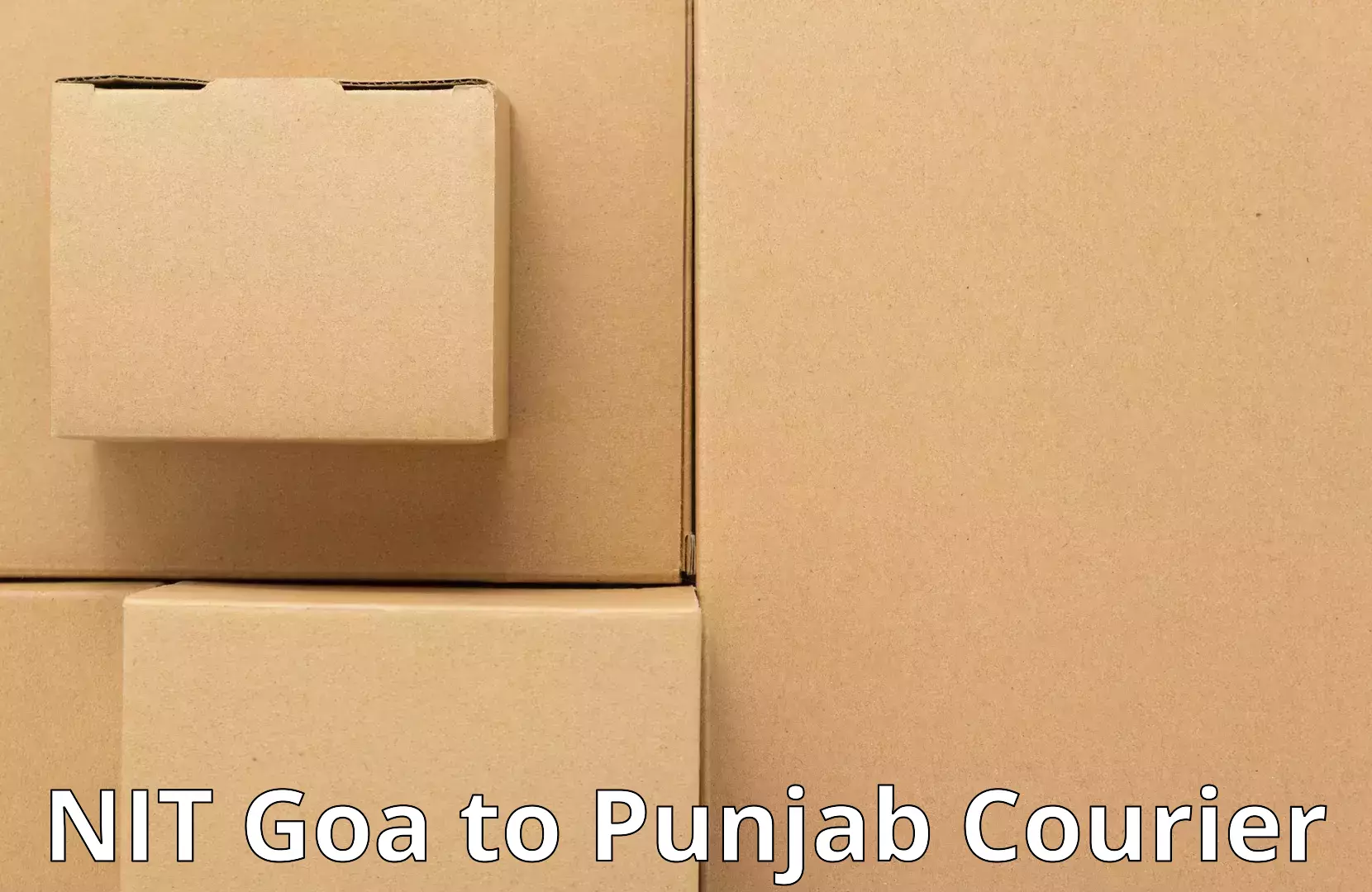 Professional movers and packers in NIT Goa to Punjab